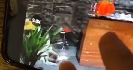 櫃台人員趕緊跑出來準備協助摔倒女客人,沒想到自己摔得比客人還慘。(翻攝自微博)