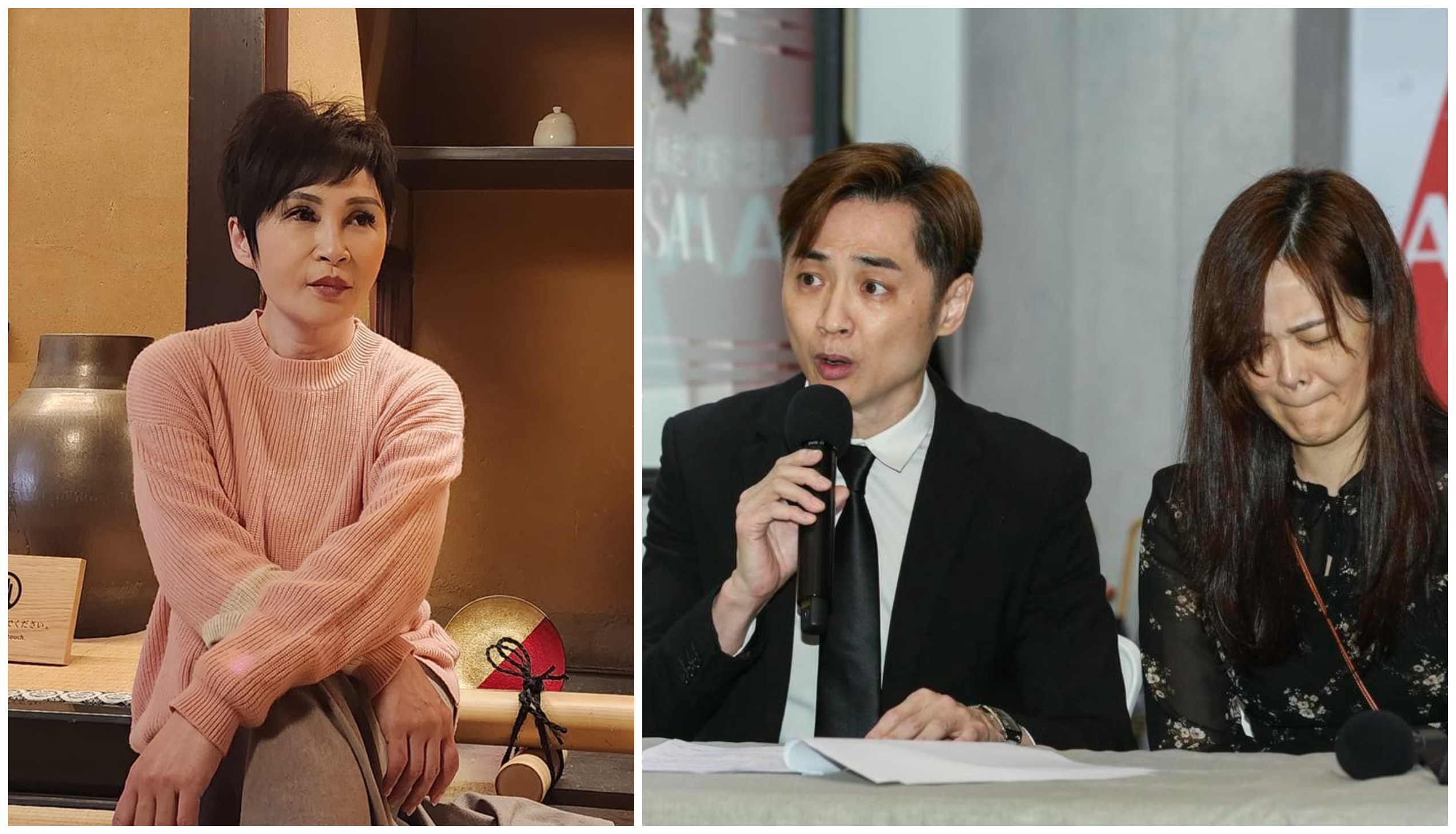 王瑞玲(左圖)槓上宋逸民和陳維齡。(翻攝王瑞玲臉書、本刊資料照)