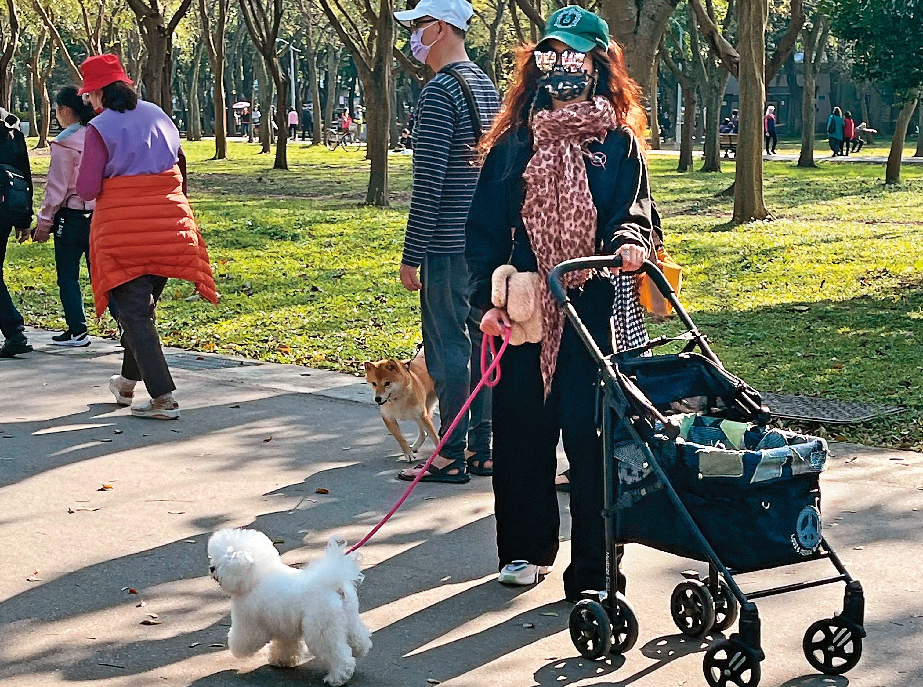 趁著天氣好，蔡依林全身包緊緊到大安森林公園遛狗。