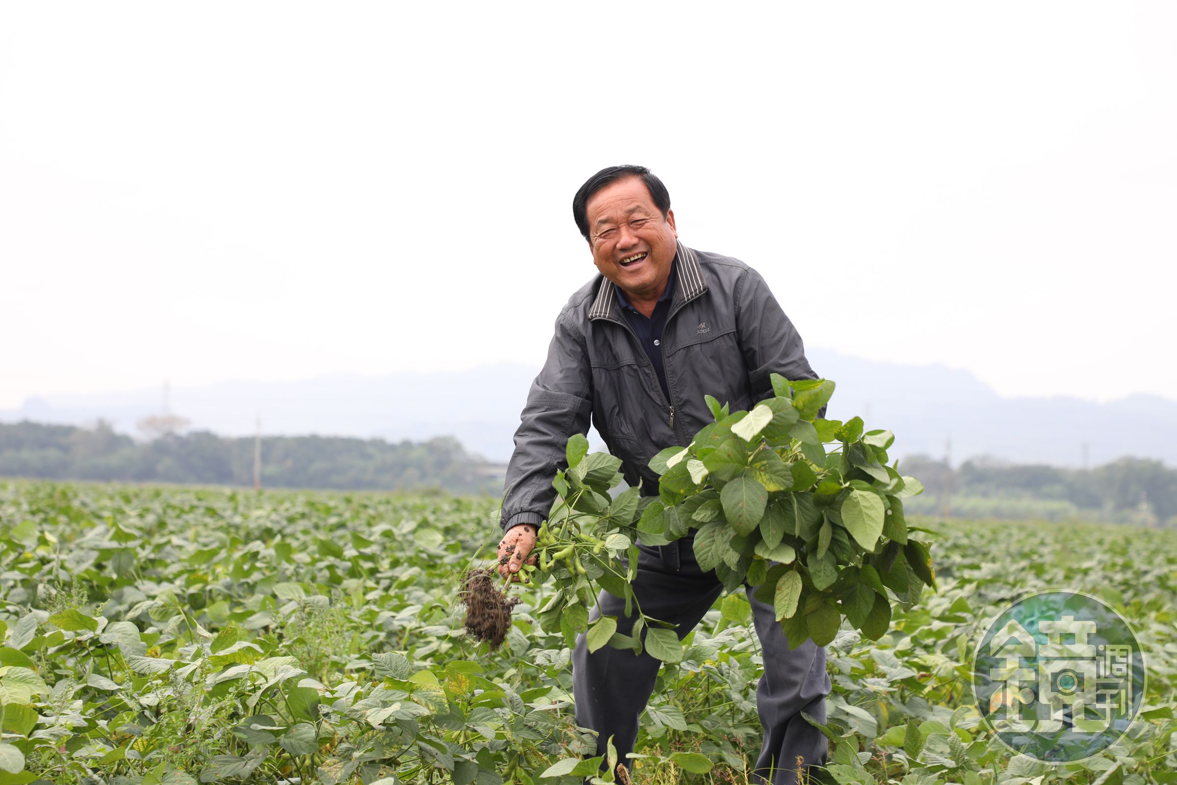 活潑開朗的種毛豆大哥陳榮華。