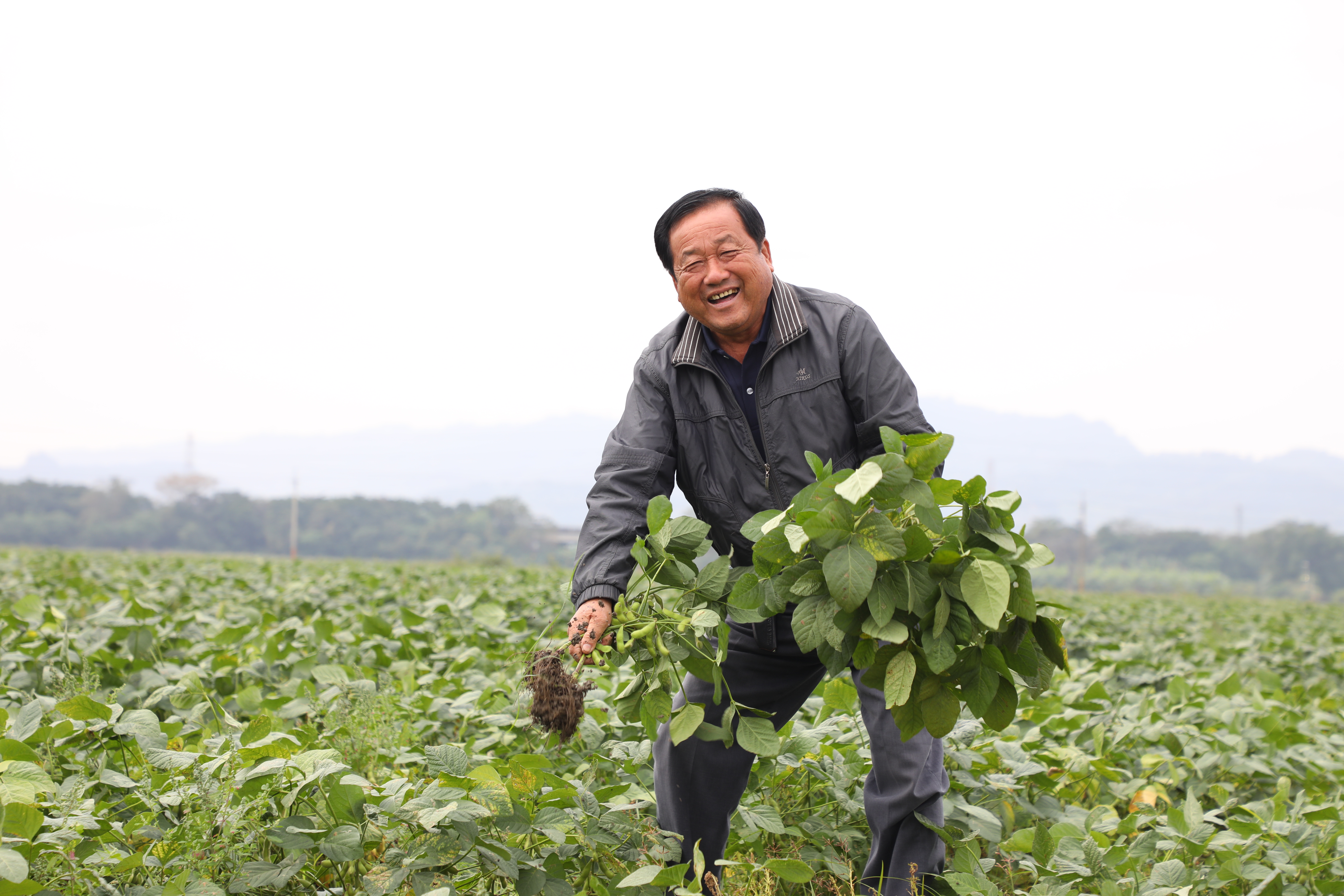 活潑開朗的種毛豆大哥陳榮華。