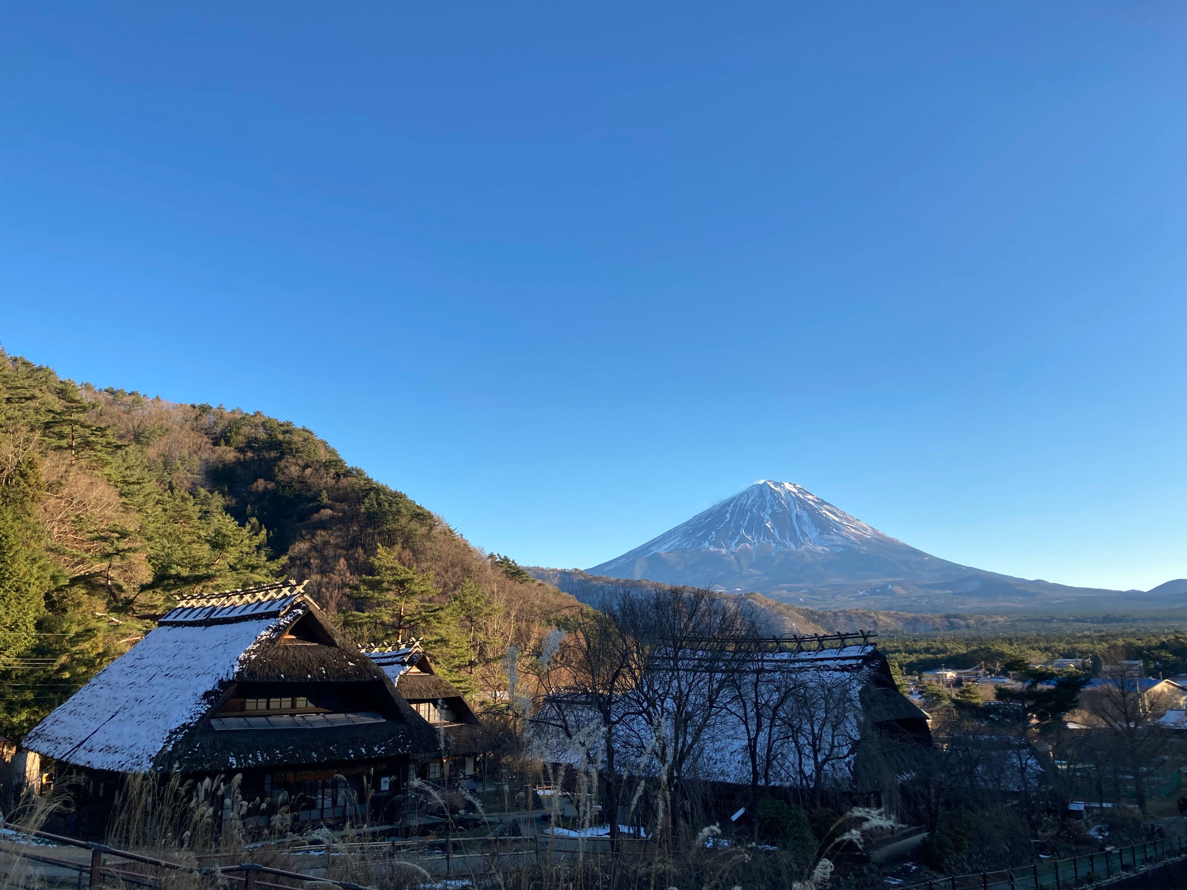 西湖療癒之里根場有「小合掌村」之稱，三角茅屋配上遠遠的富士山，相當和諧。