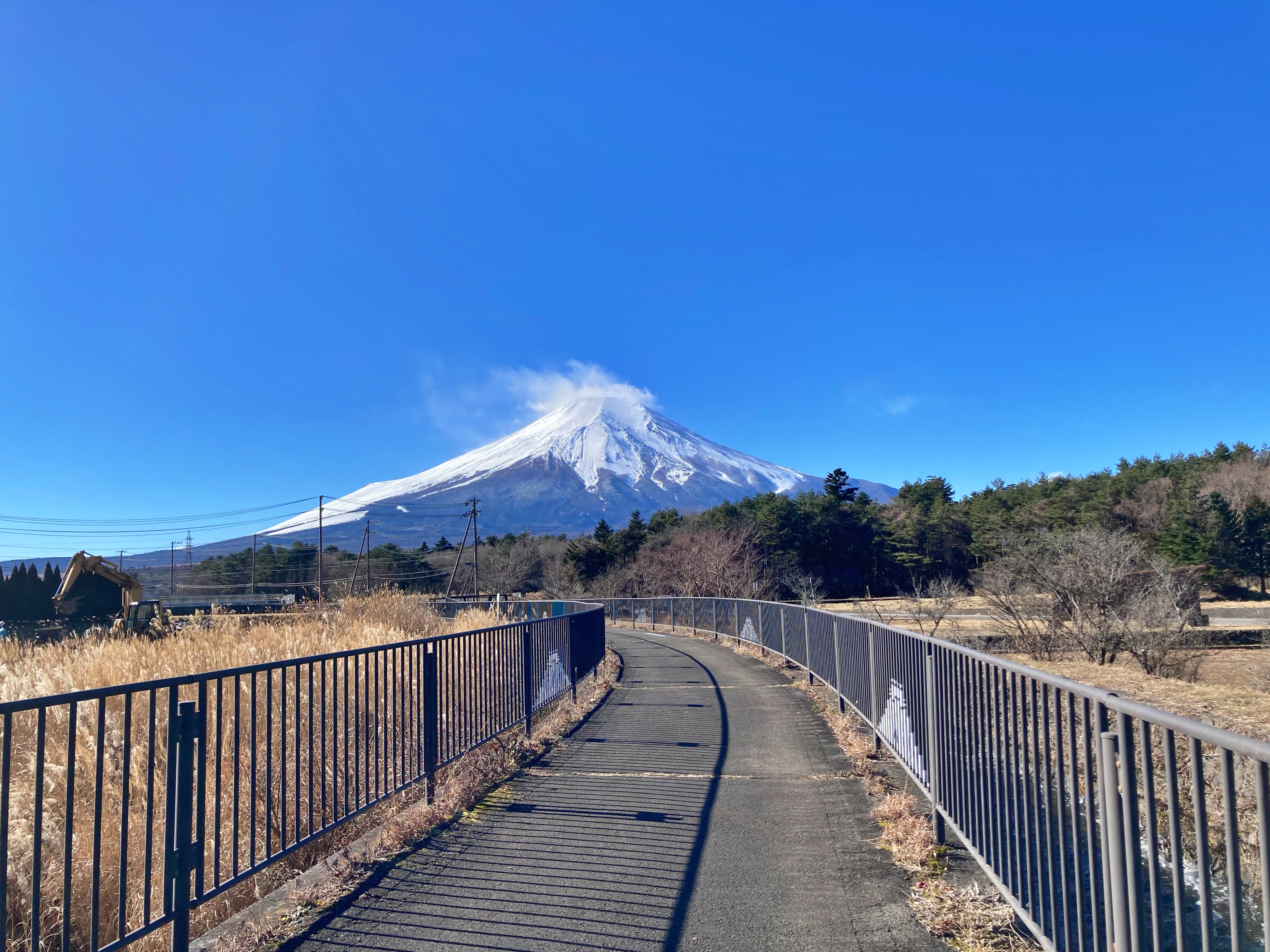山中湖花都公園欄杆漆上富士山超可愛，雖然冬季不是花期，但富士山會一直在那裡。