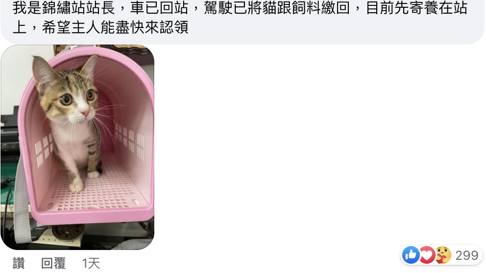 貓咪萌樣融化公車站司機，已有多位司機報名要領養。（截自臉書）
