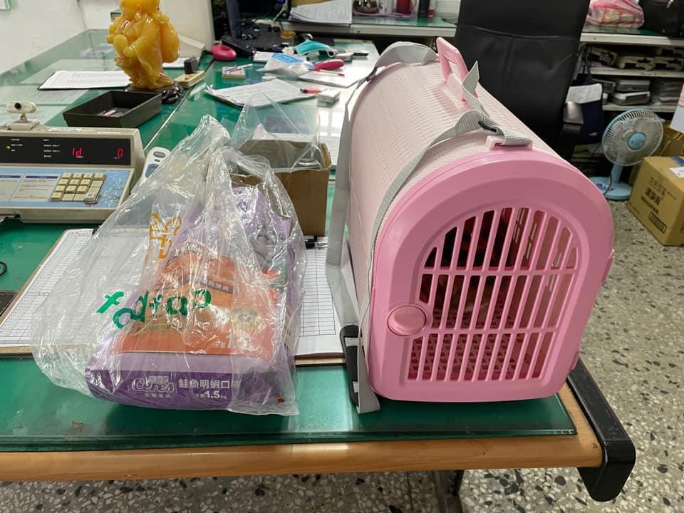 一名婦人趁孫子不在家,把貓咪帶出來「棄養」。(翻攝自我們是新店人!! 好山好水,就是愛新店臉書社團)