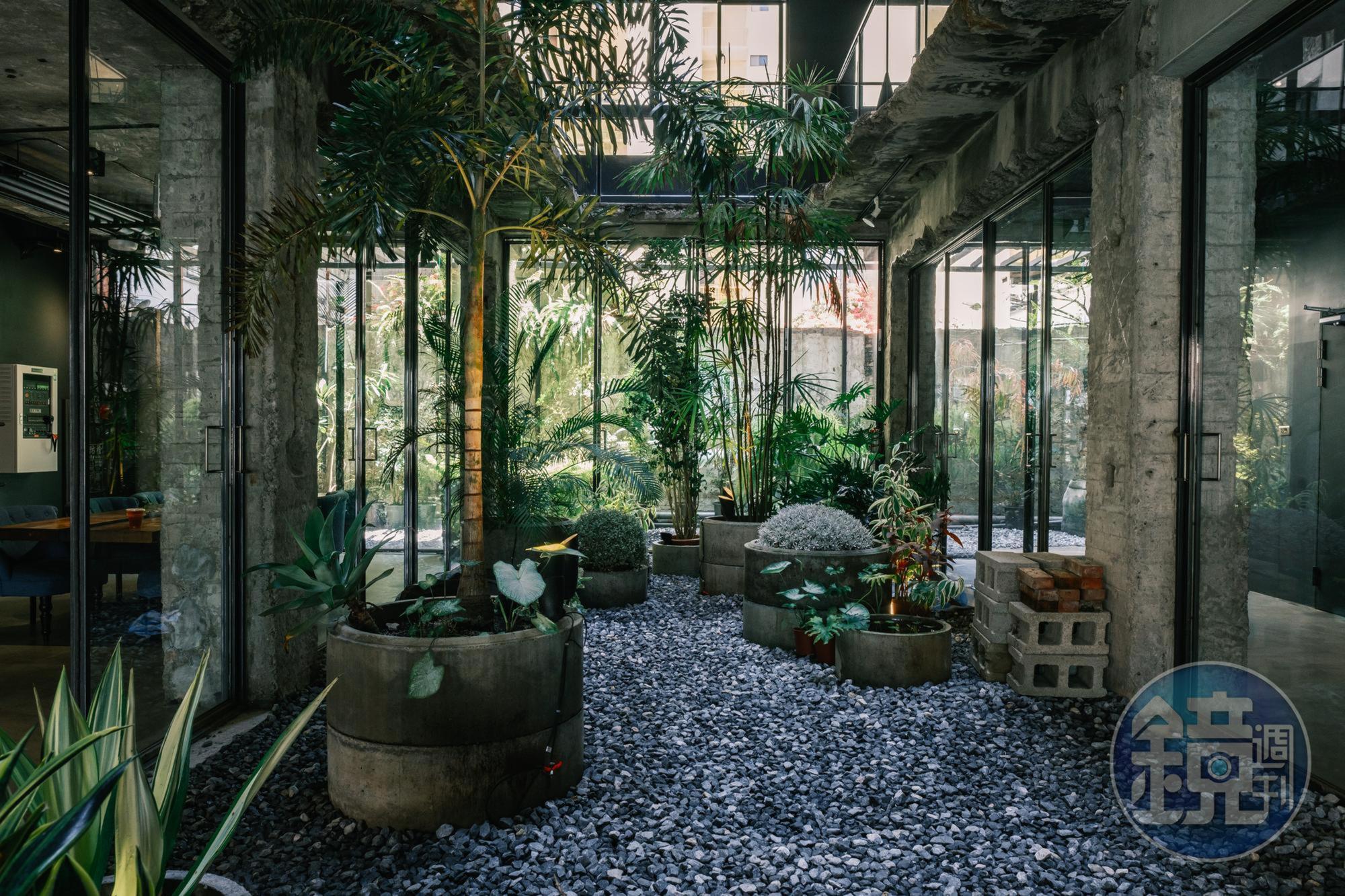 一樓中庭花園也是種滿各種植物 。