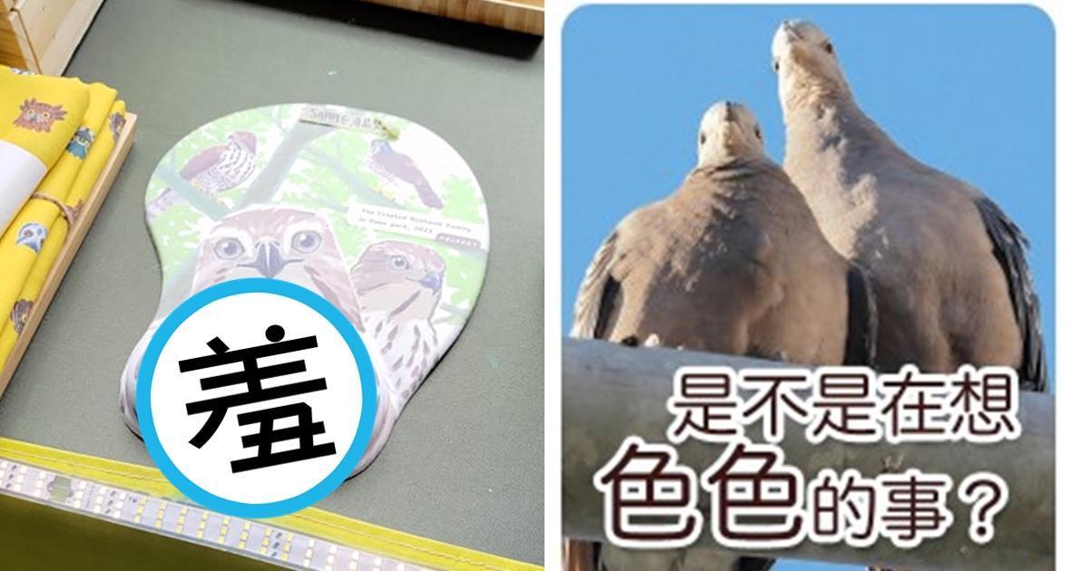台灣猛禽研究會製作的鳳頭蒼鷹滑鼠墊,讓網友直呼好「色禽」。(翻攝自FrontBird 正面鳥圖貼圖區臉書)