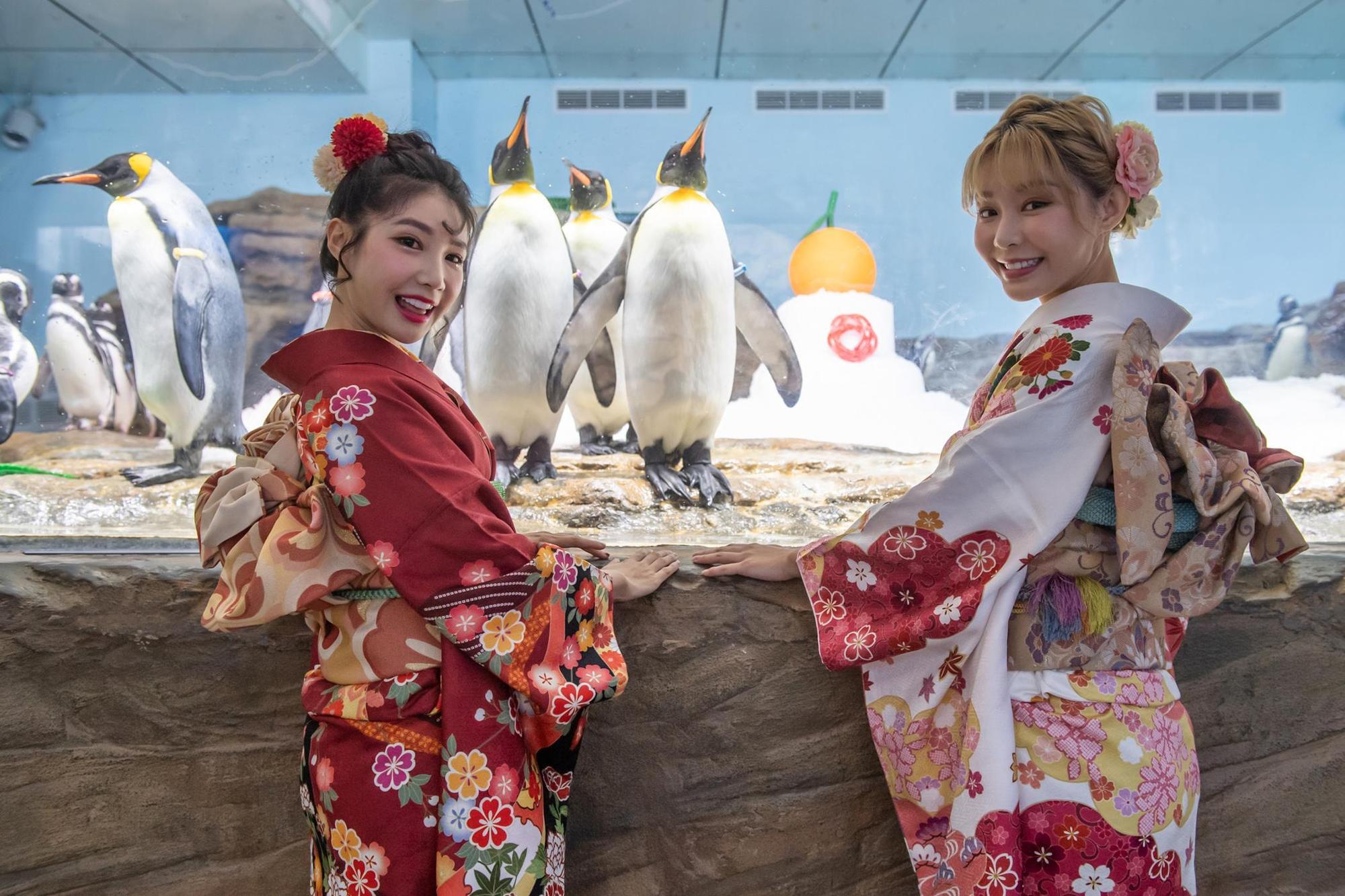 Xpark即日起至2月12日推出各種日本新年限定活動,圖為超萌「企鵝冰雪鏡餅」。(Xpark提供)