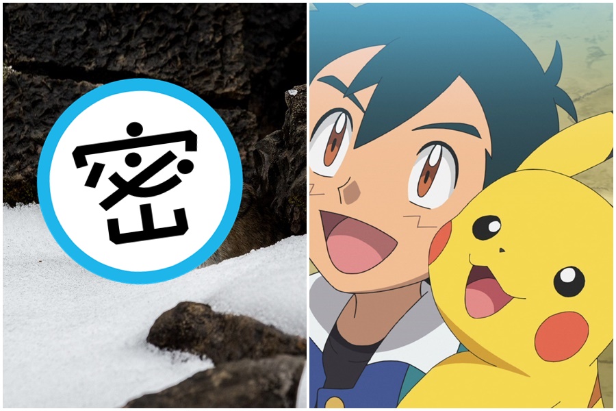 美國鼠兔（American Pika）因為長相與名字近似於皮卡丘，一度被視為「真人版皮卡丘」。（Pixabay、翻攝自ポケモン公式ツイッター推特）