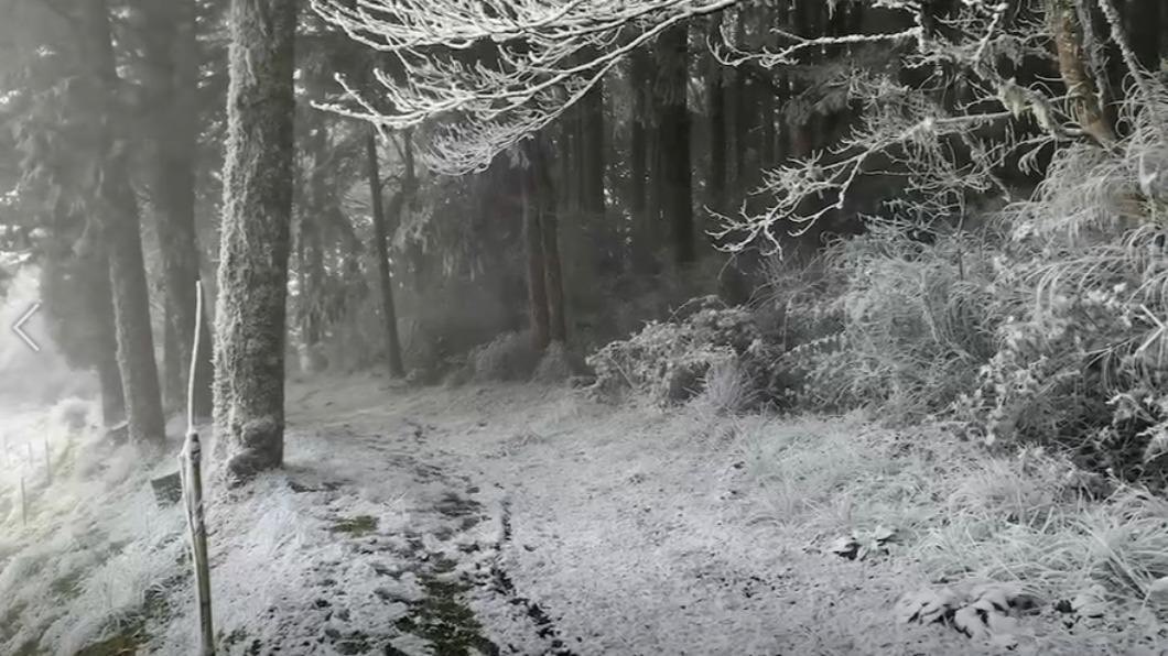 台20線南橫公路今天清晨下起2023年第一場雪。(翻攝自記者爆料網)