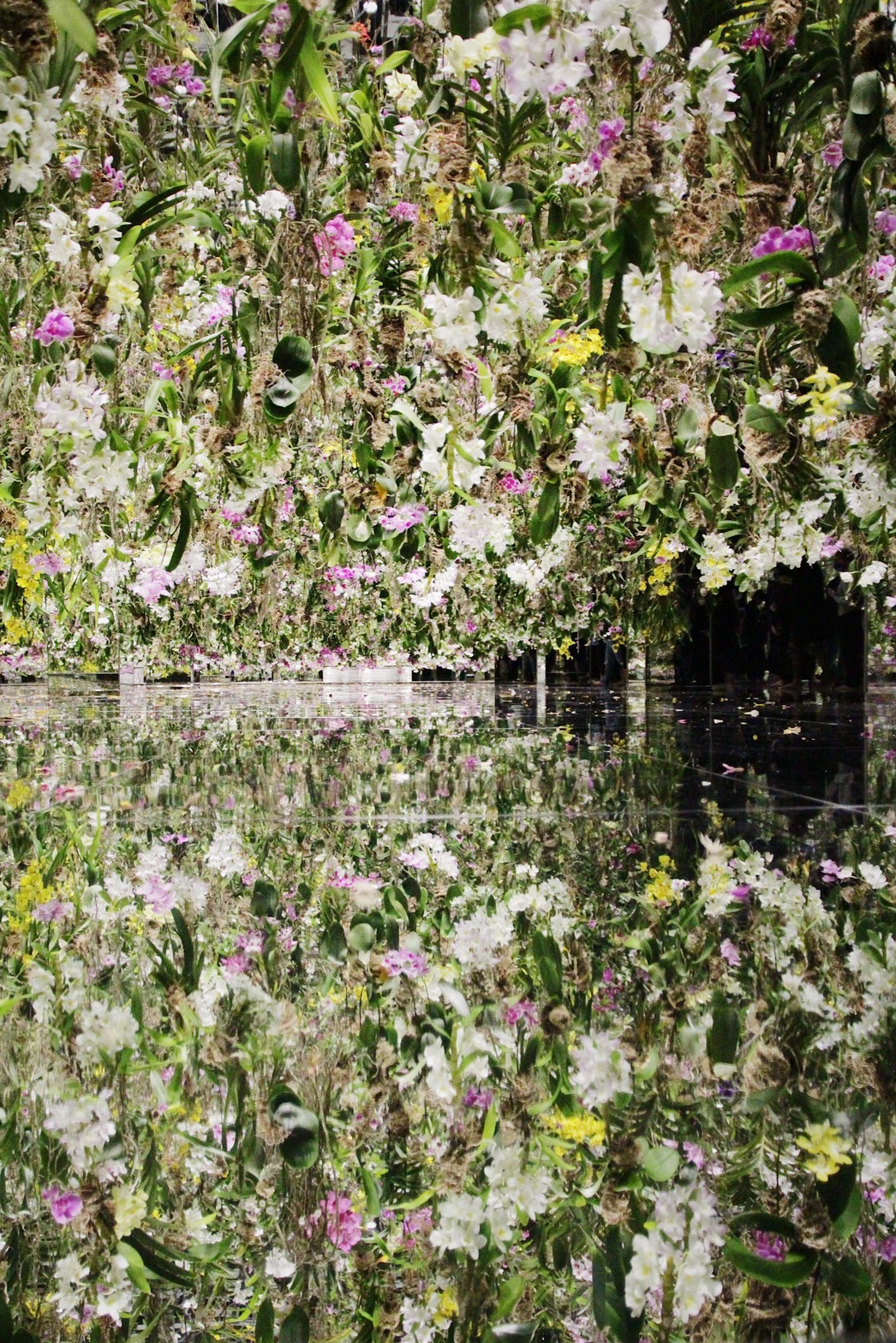《漂浮的花園》中有總計一萬多株的蘭花，在鏡面空間中齊綻放。