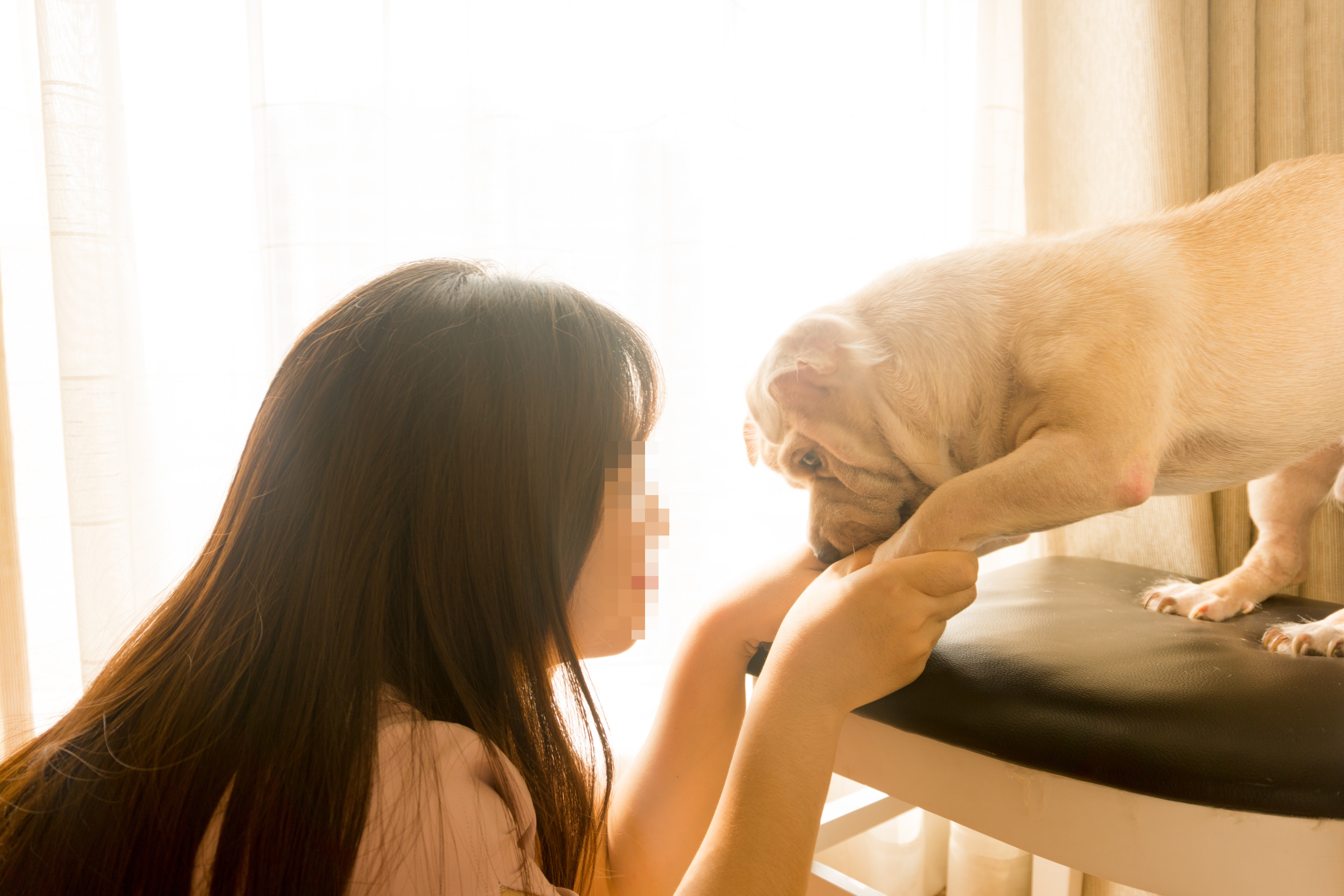 台中21歲女子除夕夜陳屍家中，遺體遭5寵物犬啃食到臟器外露。（示意圖，非當事人與當事犬隻，Pexels）