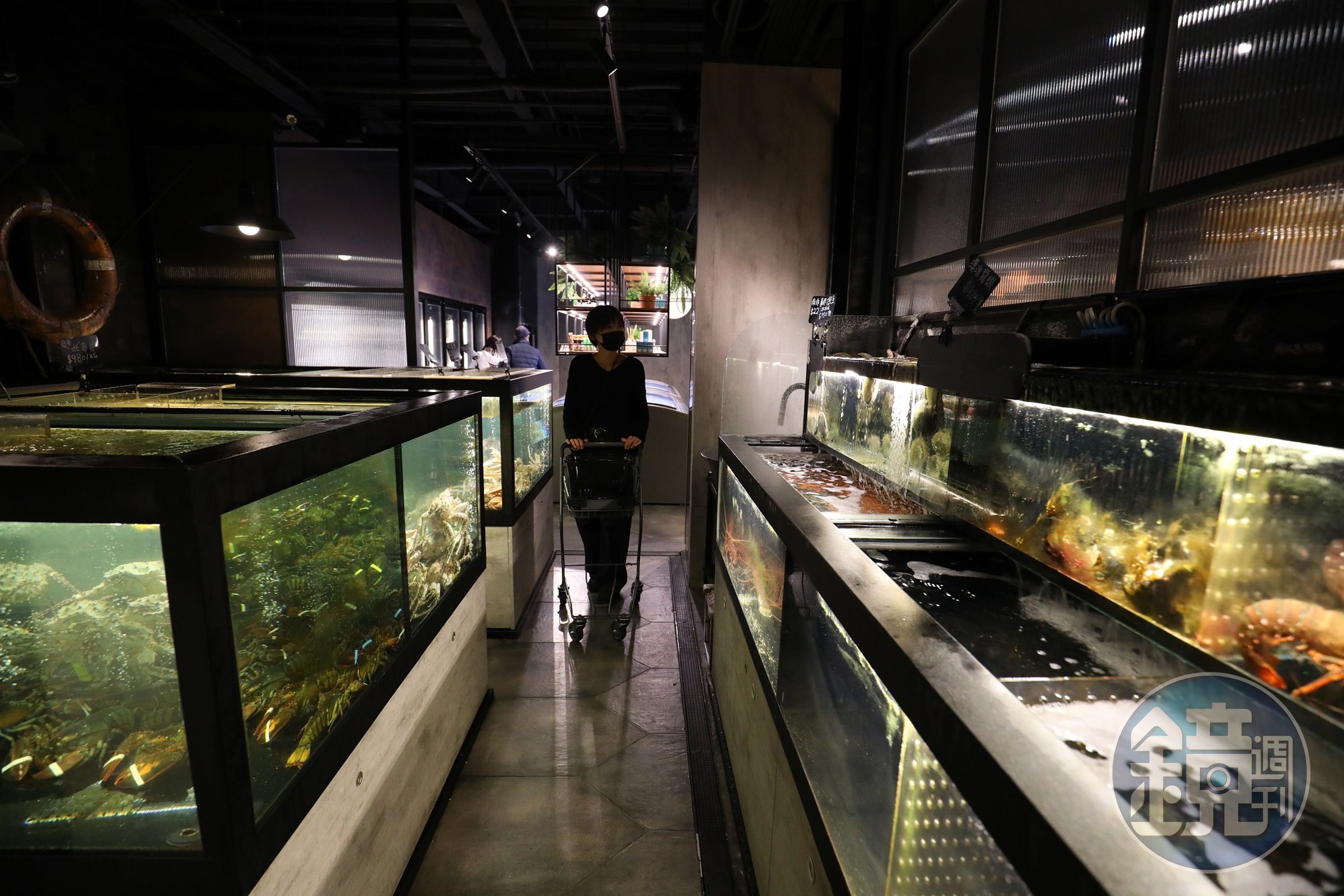四行倉庫耗資百萬建造不同溫層的水族箱，引進各式高品質的活體海鮮。