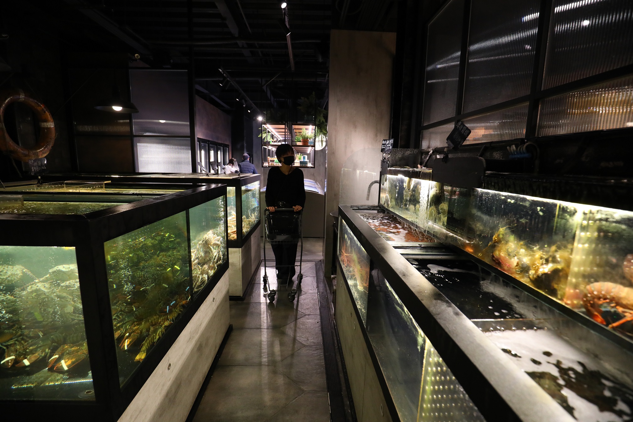 四行倉庫耗資百萬建造不同溫層的水族箱，引進各式高品質的活體海鮮。