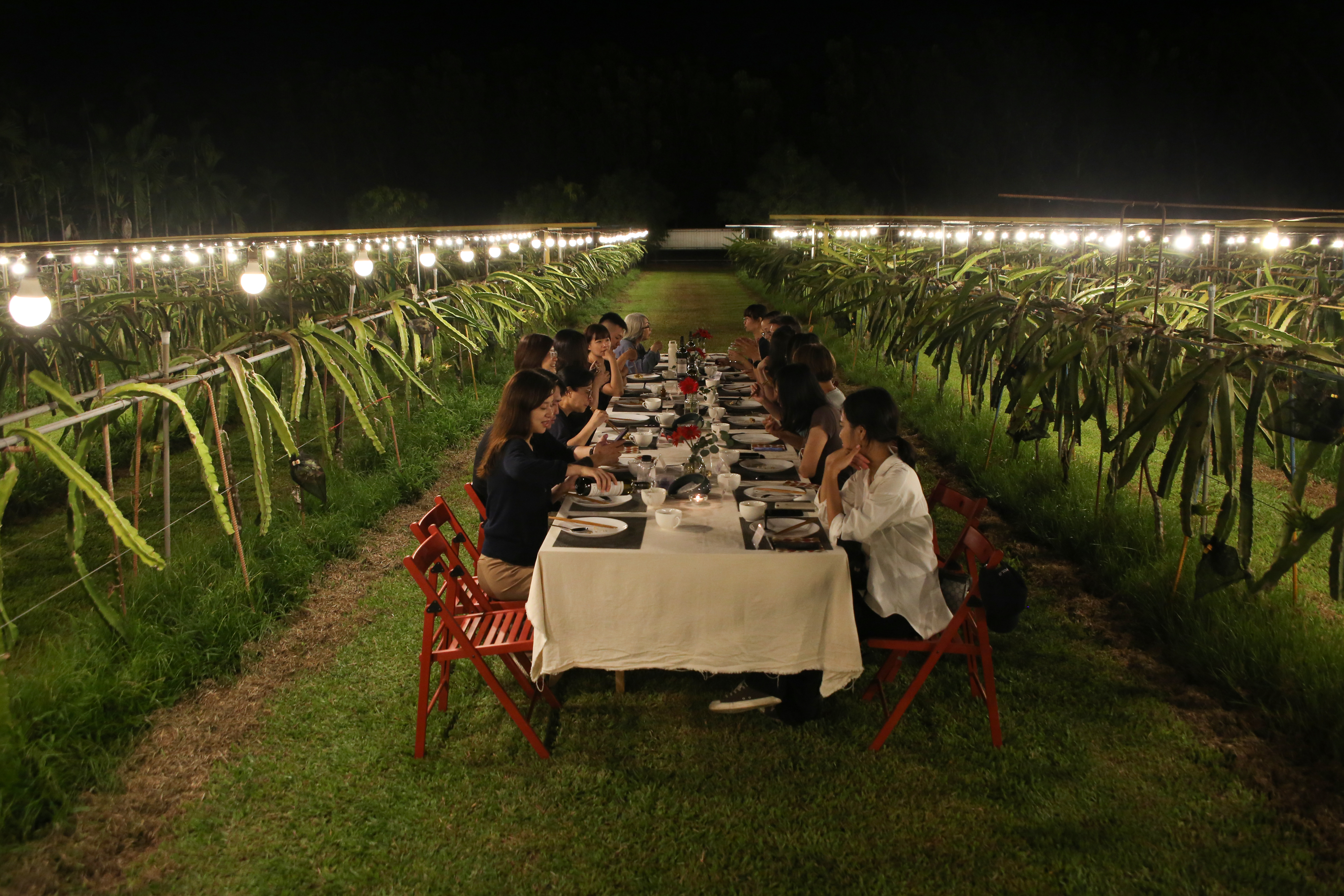 「彩虹玉生態農場」的田園餐席找來「The Kinfolk餐桌」掌勺，眾人在果園裡享用浪漫燭光晚餐。