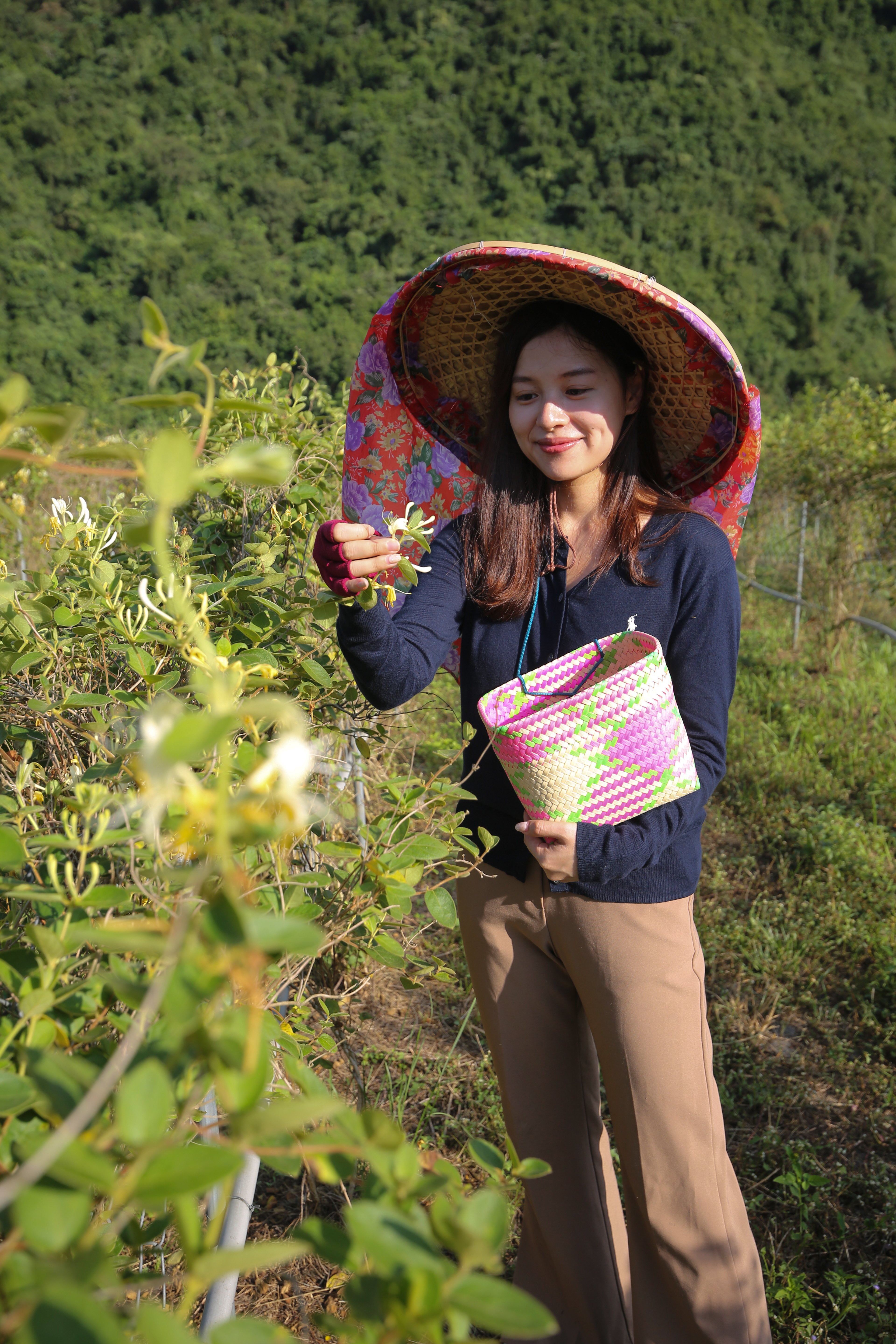老闆表示農場非常缺工，若想體驗採花人生，歡迎「採花換宿」。