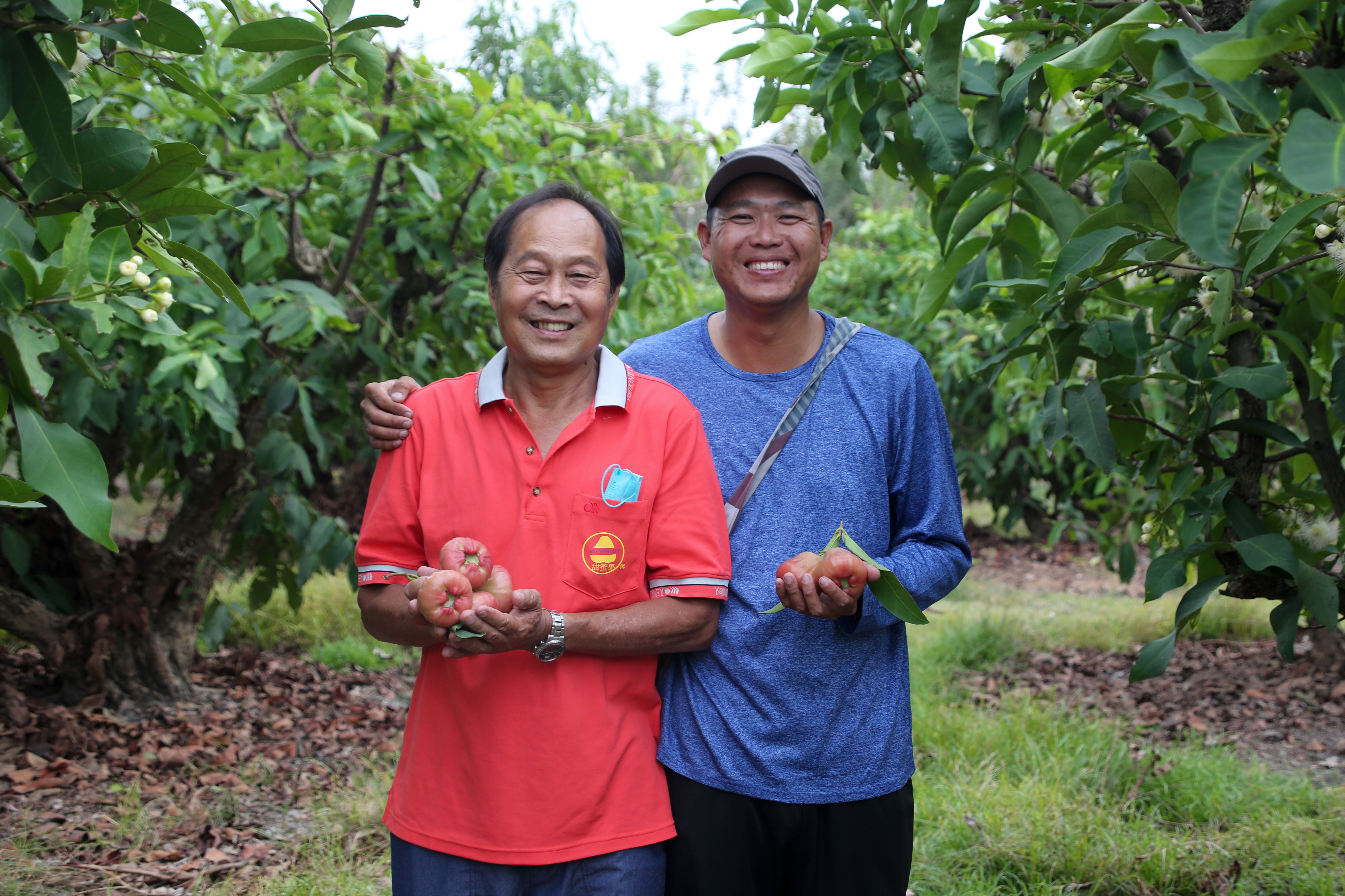 蔡順得（左）將耕耘一輩子的果園交棒給兒子蔡協良（右）。