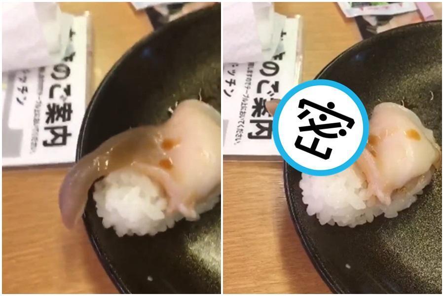 壽司海鮮太新鮮，嚇壞用餐網友。（翻攝自@mg2b5推特）
