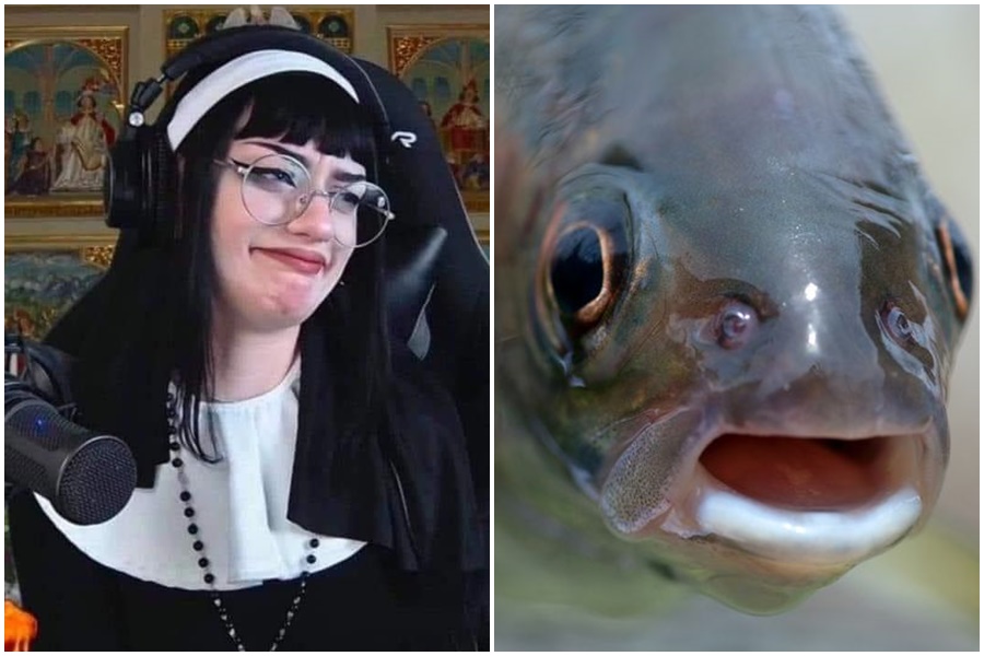 澳洲一對夫妻因為種種離譜行徑遭到逮捕，其中兩人獸交活鱒魚的影片看得網友們頭皮發麻。（翻攝自推特）