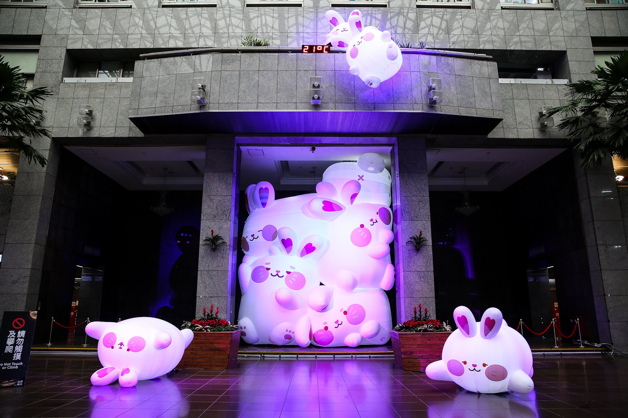 「兔兔餐包」遠看超壯觀。