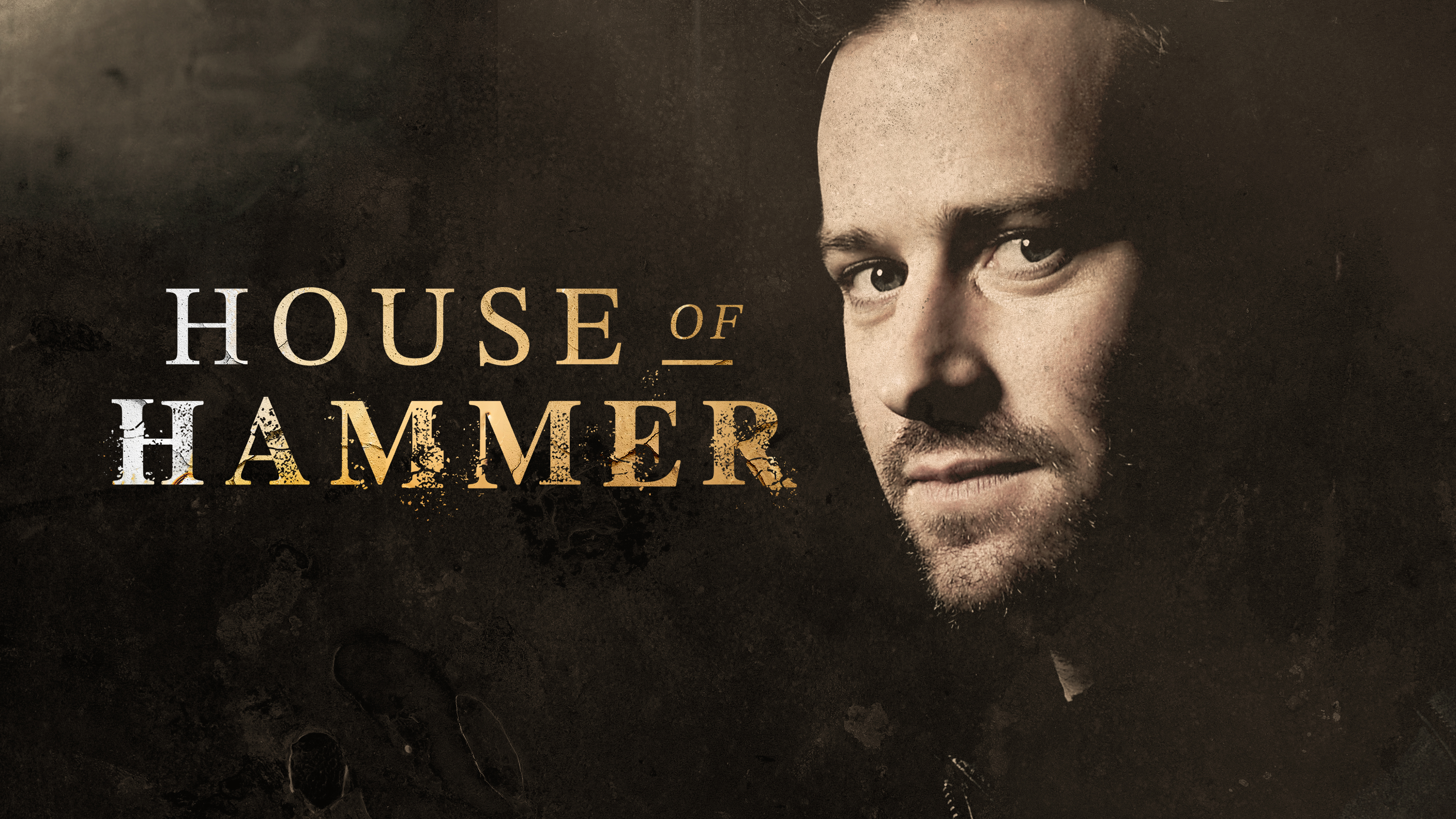 艾米漢默在爆發性醜聞後,事業一落千丈,成為紀錄片《艾米漢默家族黑幕》的內容。(HBO GO提供)