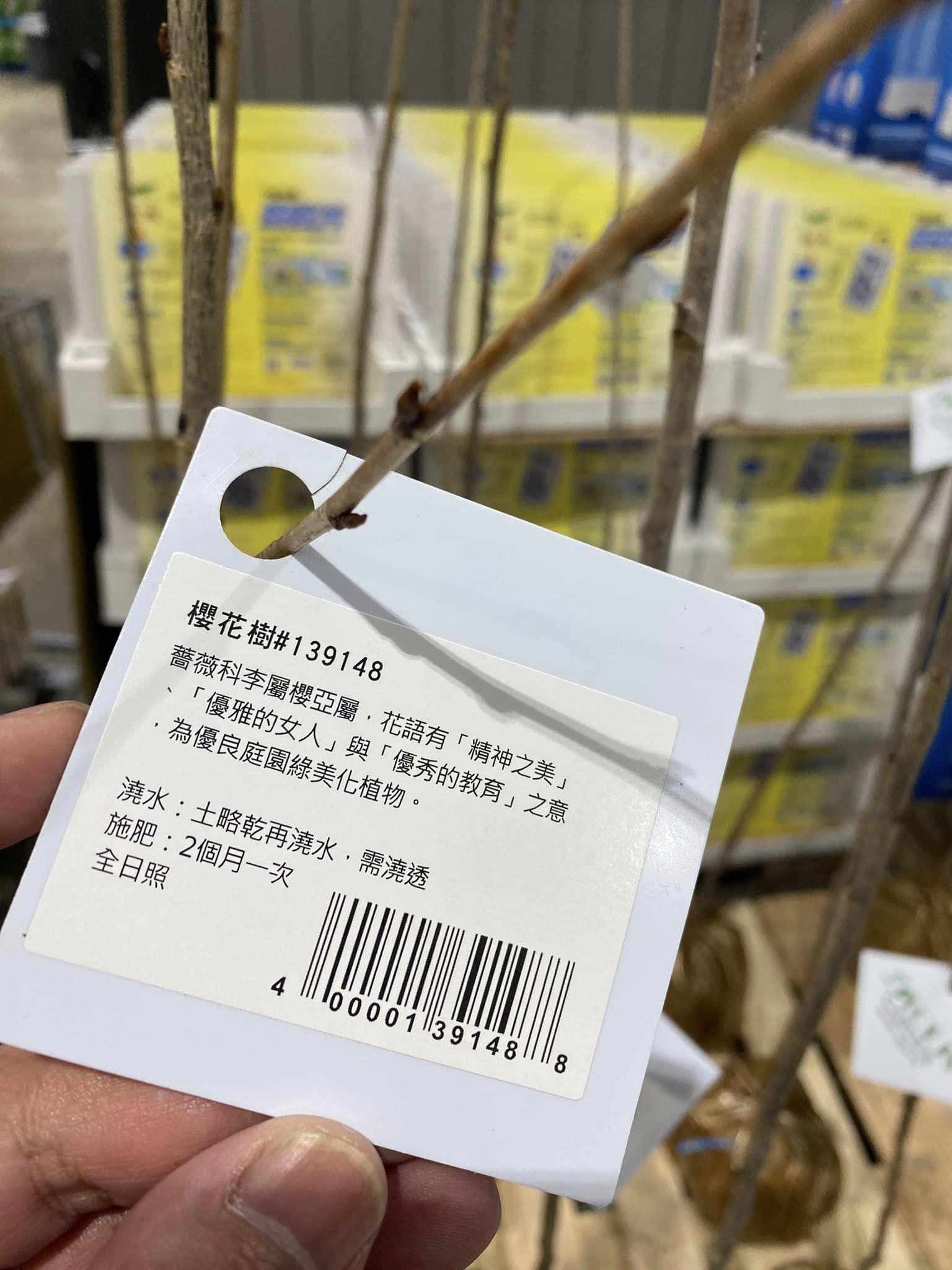 該款櫻花樹上還簡介，解釋該花語有「精神之美」「優雅的女人」與「優秀的教育」的意思。（翻攝自臉書社團Costco好市多 商品經驗老實說）