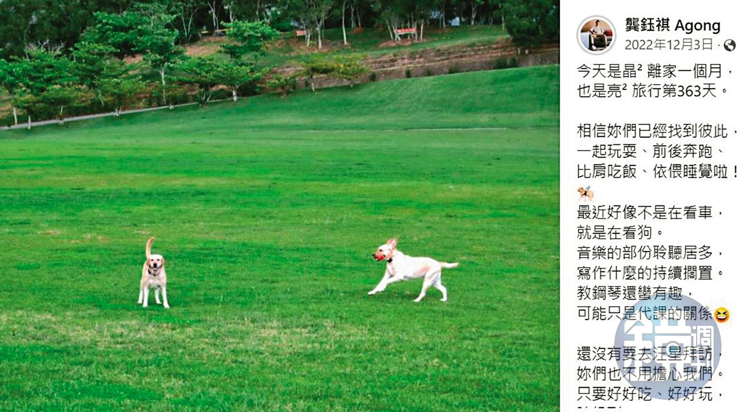阿龔的愛犬晶晶去年11月過世,亮亮則於前年離開,阿龔經常曬照片懷念愛犬。(翻攝自阿龔臉書)