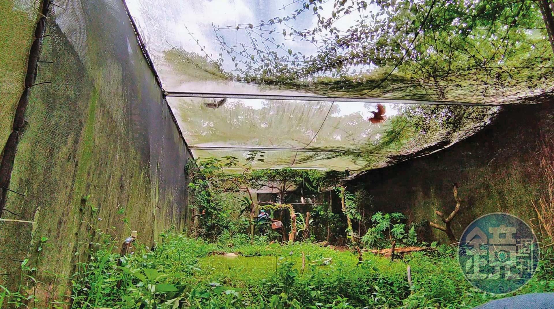 桃園G場收費制度完整，除了單次參觀，還有會員「拍到飽」制度，並有會員限定拍攝的鳥種。