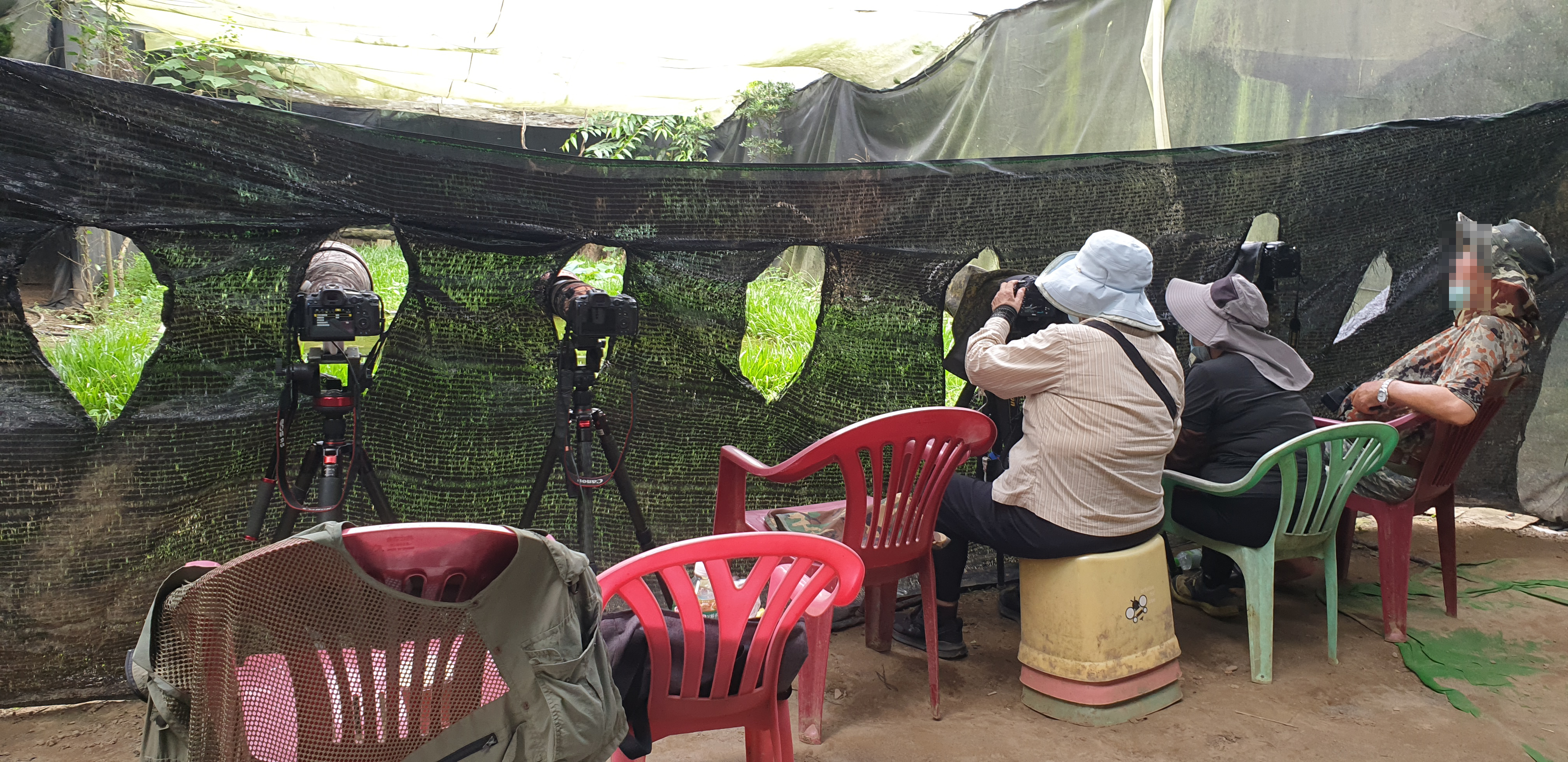 在龍潭拍翠鳥交配的鳥客，都非生手，能準確得知「現在不是時候」，然後離席去上廁所。