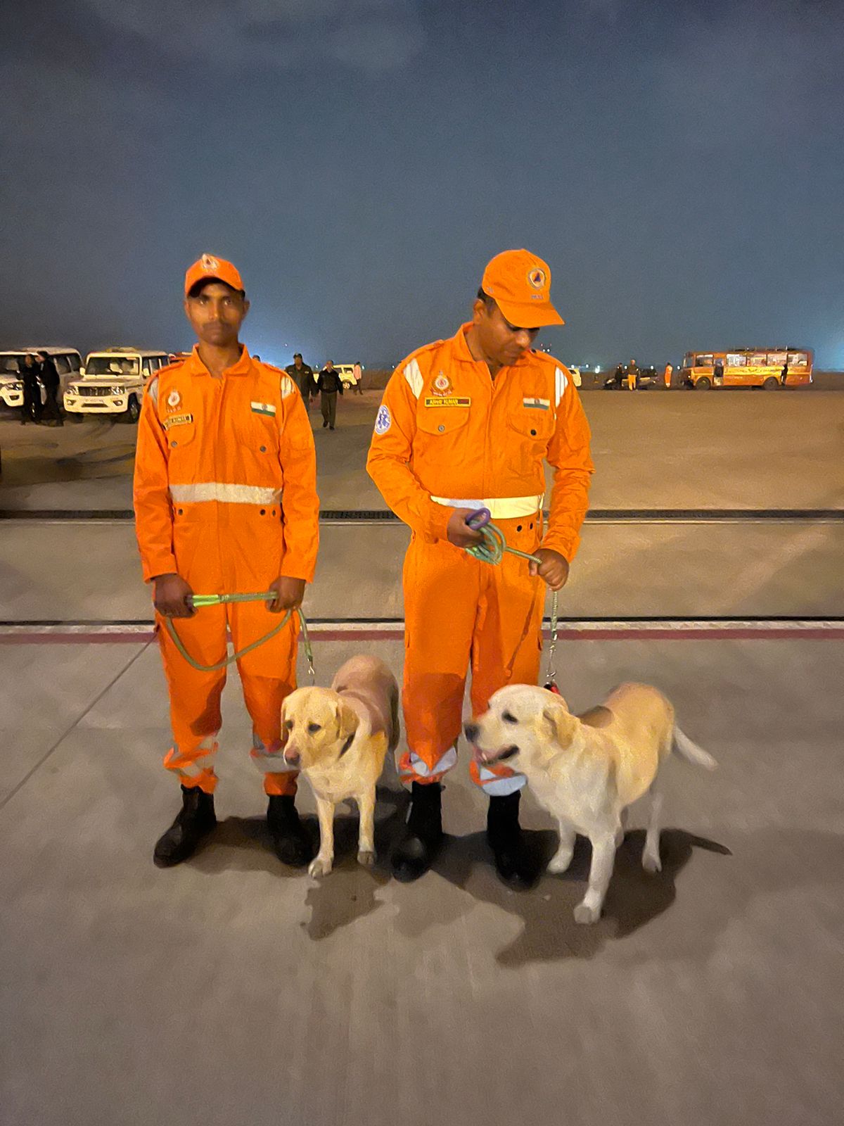 印度救難神犬。（翻自推特）