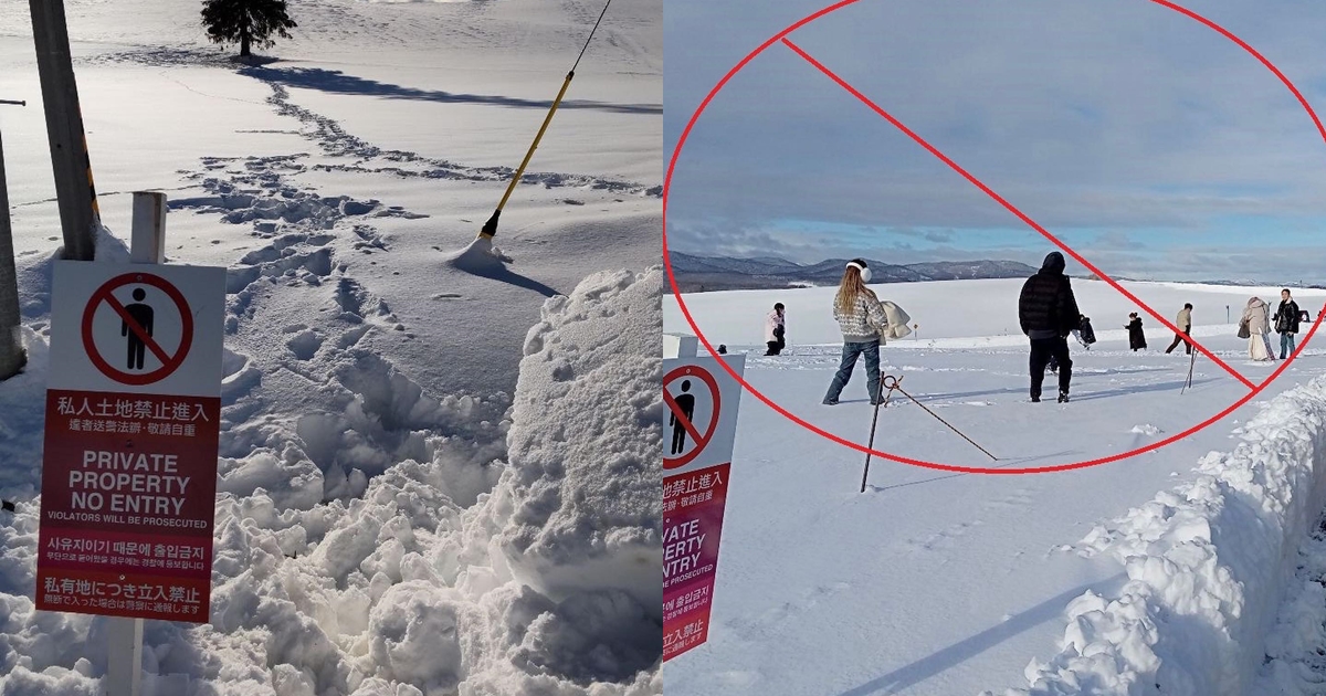 觀光客無視禁止進入的立牌，擅闖北海道私人土地，讓當地農民相當困擾。（翻攝自富良野美瑛広域観光推進協議会臉書）