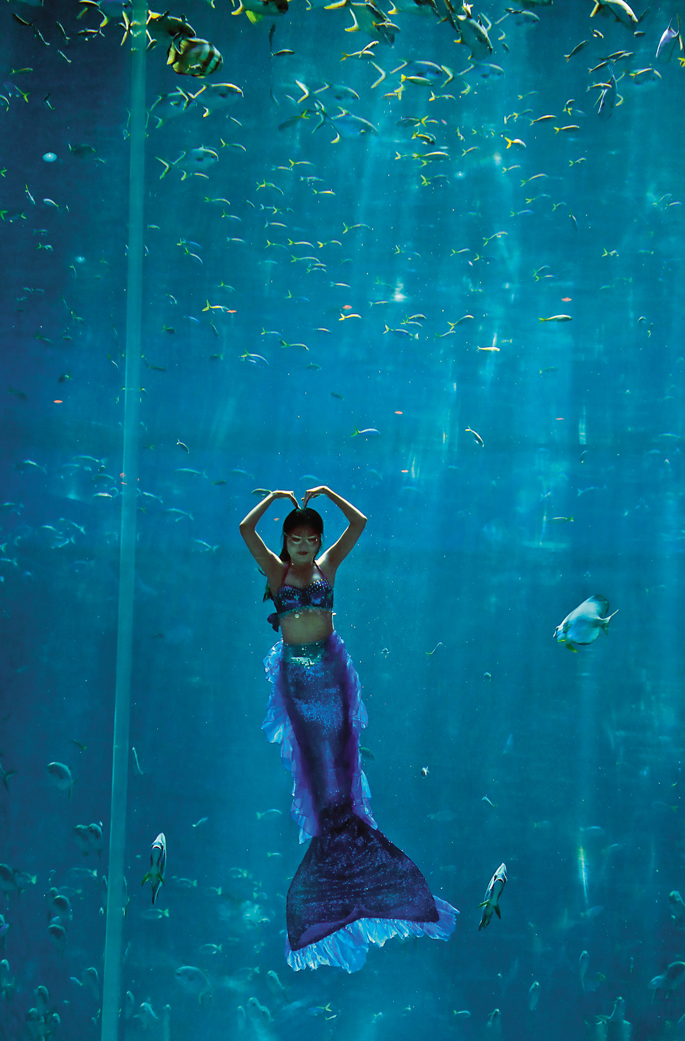 「海龜水族館」每天定時上演精彩的美人魚秀。