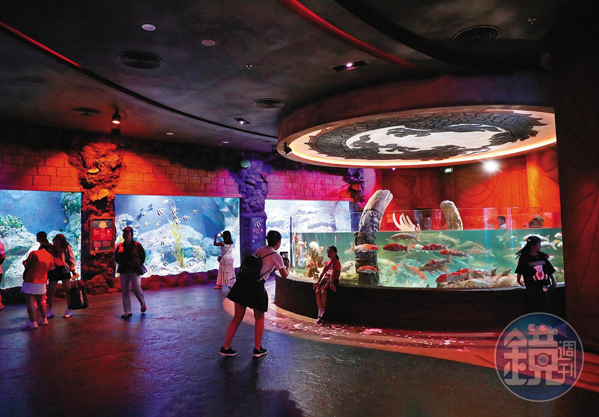 水族館引進種類豐富的魚類，而且冷氣很強，超適合當作來到主題樂園遊玩的第一站。