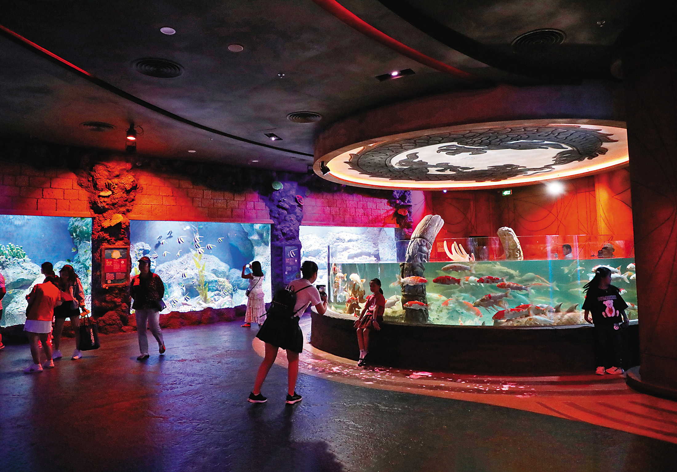 水族館引進種類豐富的魚類，而且冷氣很強，超適合當作來到主題樂園遊玩的第一站。