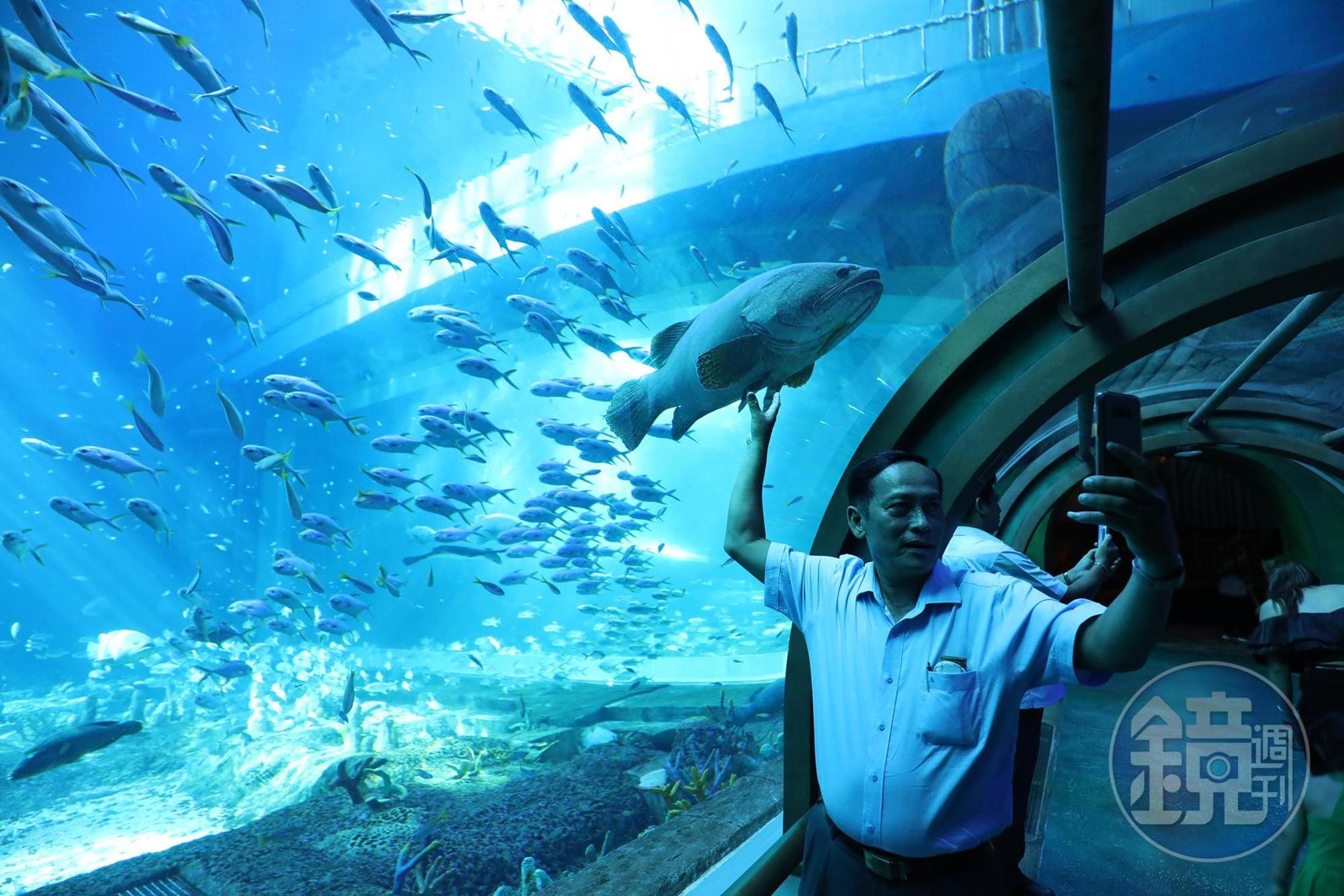 遊客們很會善用手機跟水族館內的魚群合影自拍照。