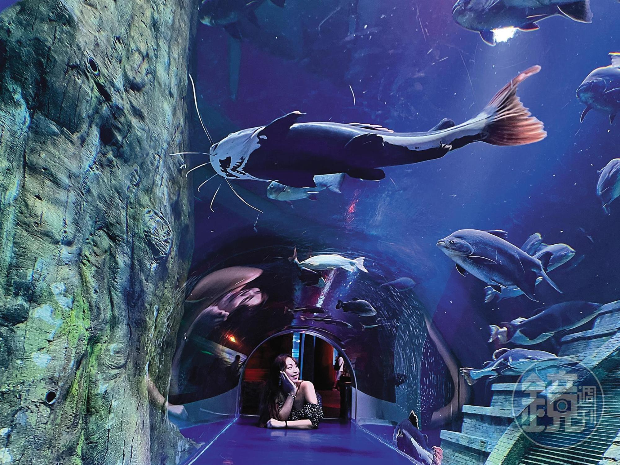 以海下宮殿為主題打造的水族館，有許多拍照打卡點。