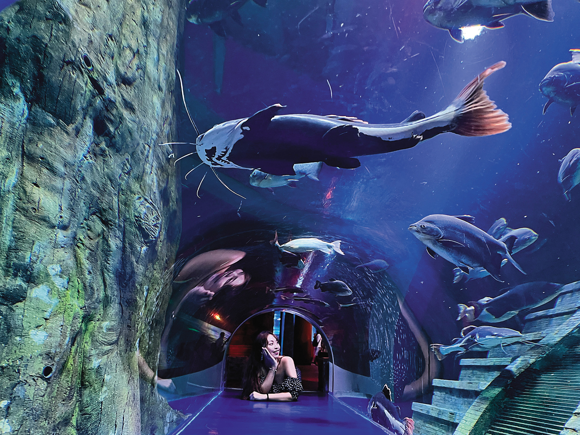 以海下宮殿為主題打造的水族館，有許多拍照打卡點。