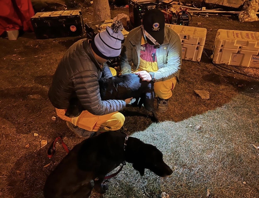 搜救犬腿腿良好(翻攝GOGO-台中搜救犬畫面)