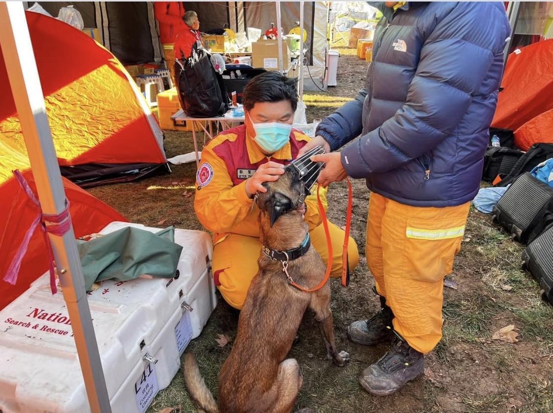 搜救犬Sato良好(翻攝GOGO-台中搜救犬畫面)