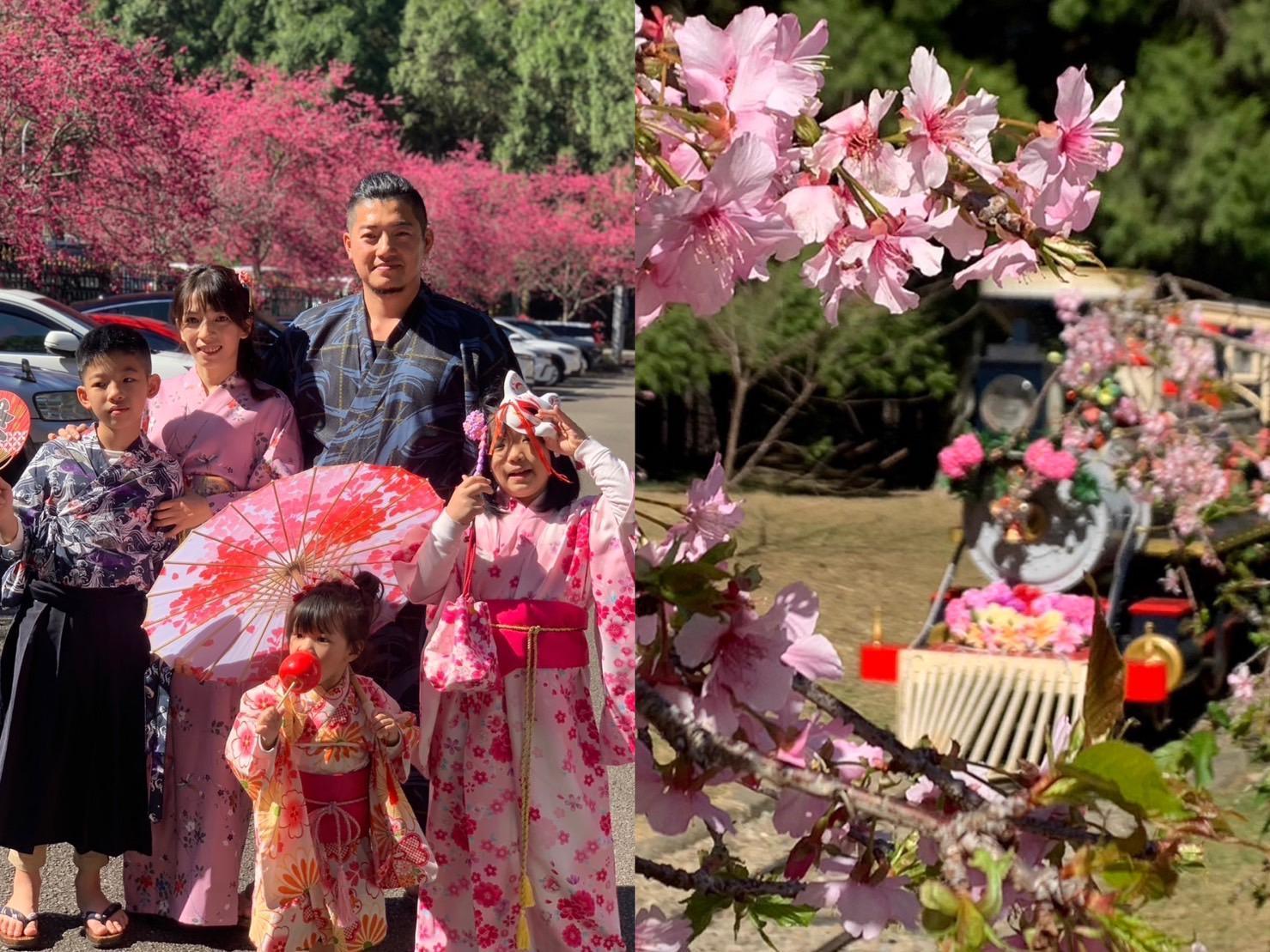 「九族文化村」年度櫻花季再開！除了美景還有各種活動包山包海。