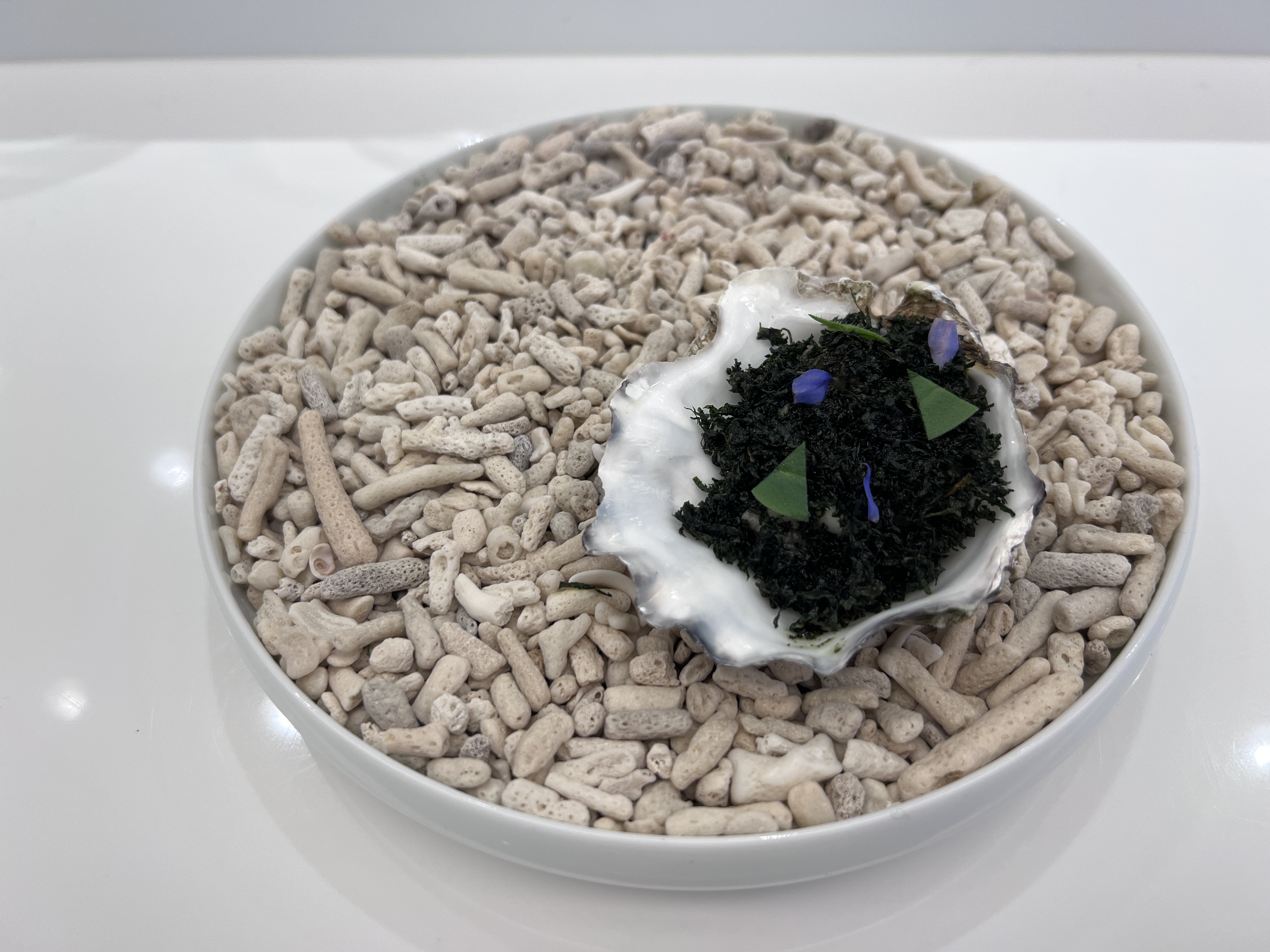 「近海生態」用生長或養殖在江河與大海交界之處的生蠔,鋪滿炸過的地瓜葉,顏色深沉,呼籲重視近海生態裡的許多危機。