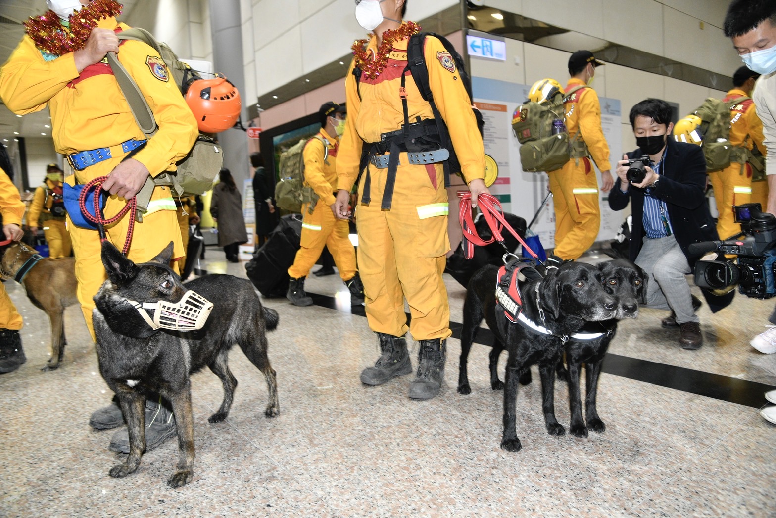 台灣搜救汪汪隊回國啦！