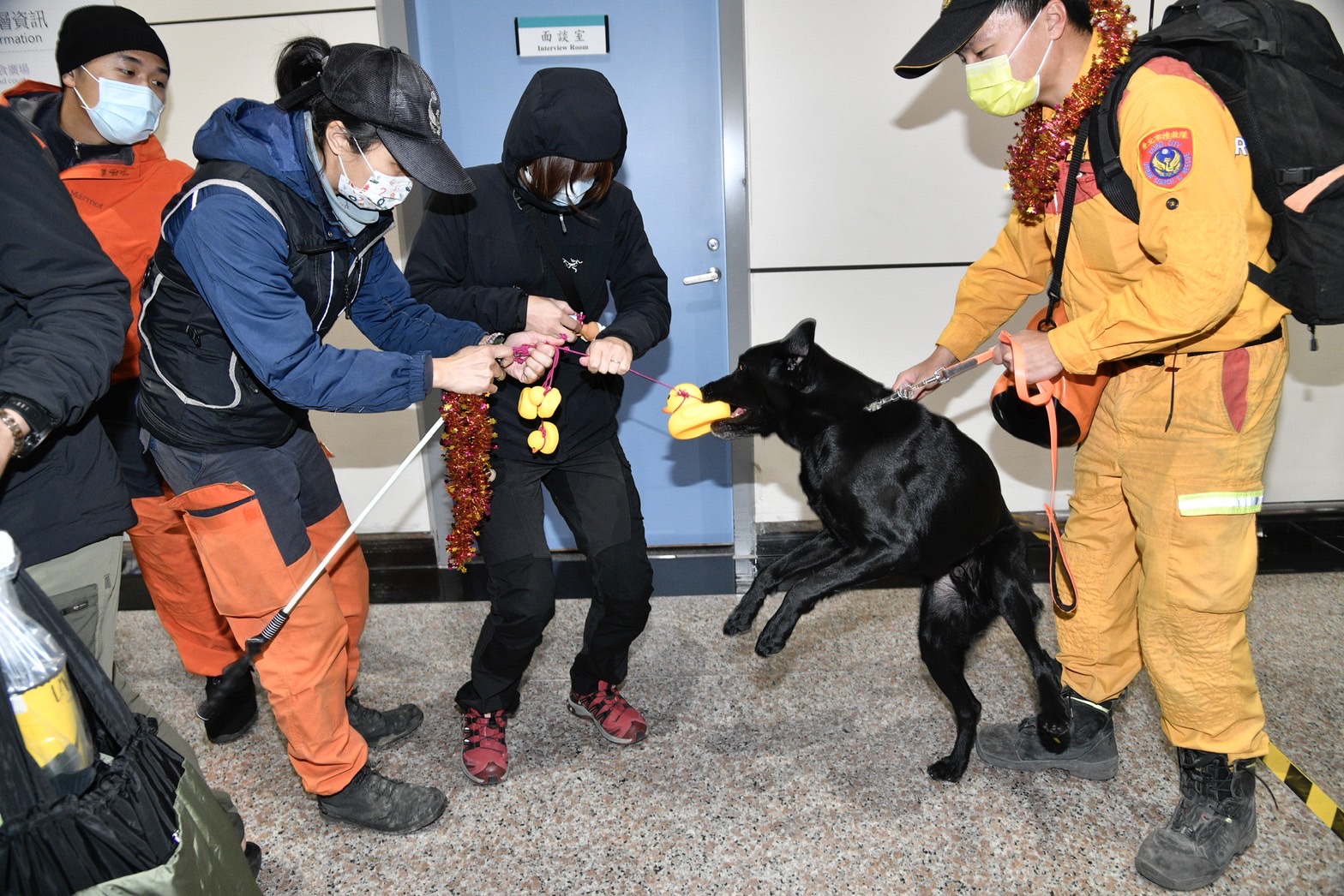 搜救犬在入境大廳玩玩具兼休息。