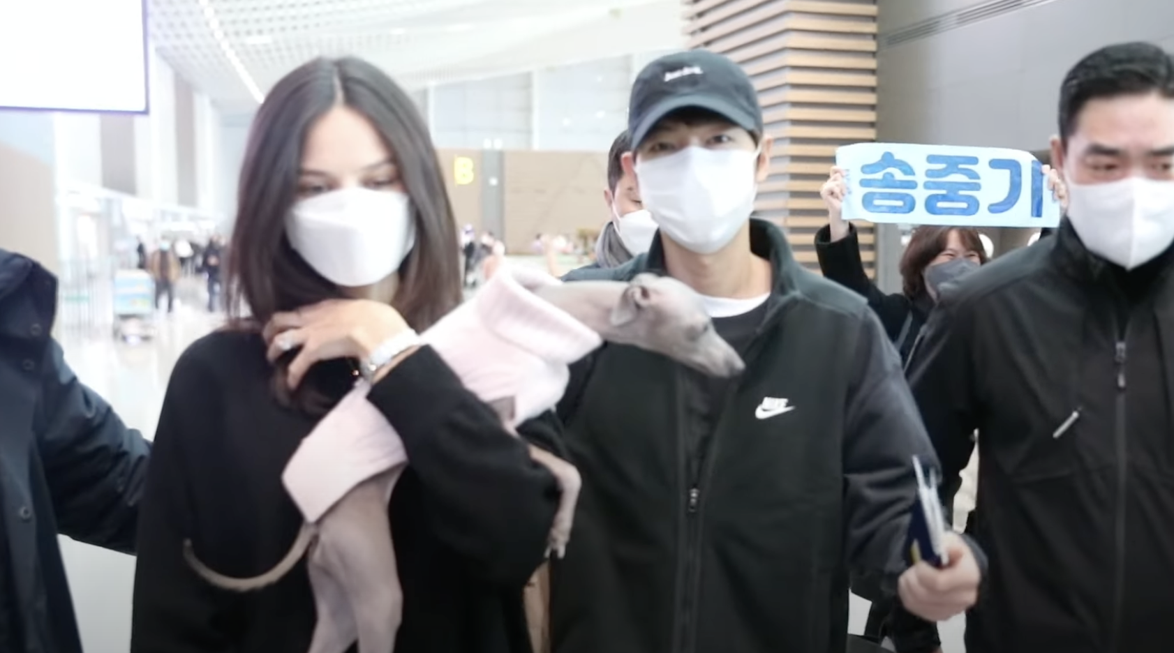 宋仲基今(16日)出發匈牙利拍電影,帶著愛妻凱蒂和愛犬全家出發。(截圖自STAR PLUS YouTube)