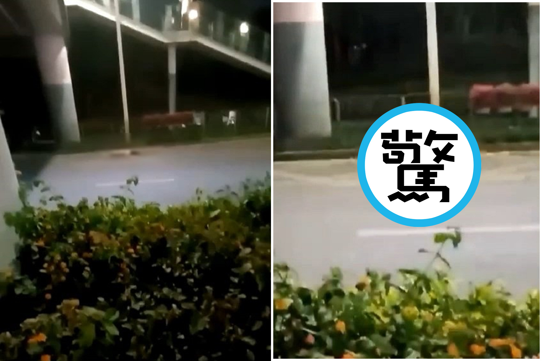 中國妹子疑「野外愛愛」太刺激，全裸摔下天橋慘死！民眾圍觀直呼沒救了。（翻自《51吃瓜網》）