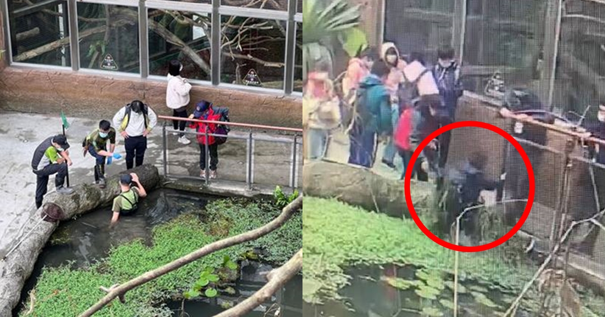 國小男童不慎跌落水池(右),手上的手機沒有不見,倒是錢包落在水池裡,還請工作人員下水打撈上岸(左)。(台北市立動物園提供)