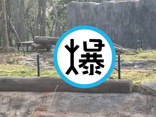「夫妻」在動物園大方做愛，叫春聲響徹雲霄！一天狂戰50次不是問題。（翻自《Sanook》）