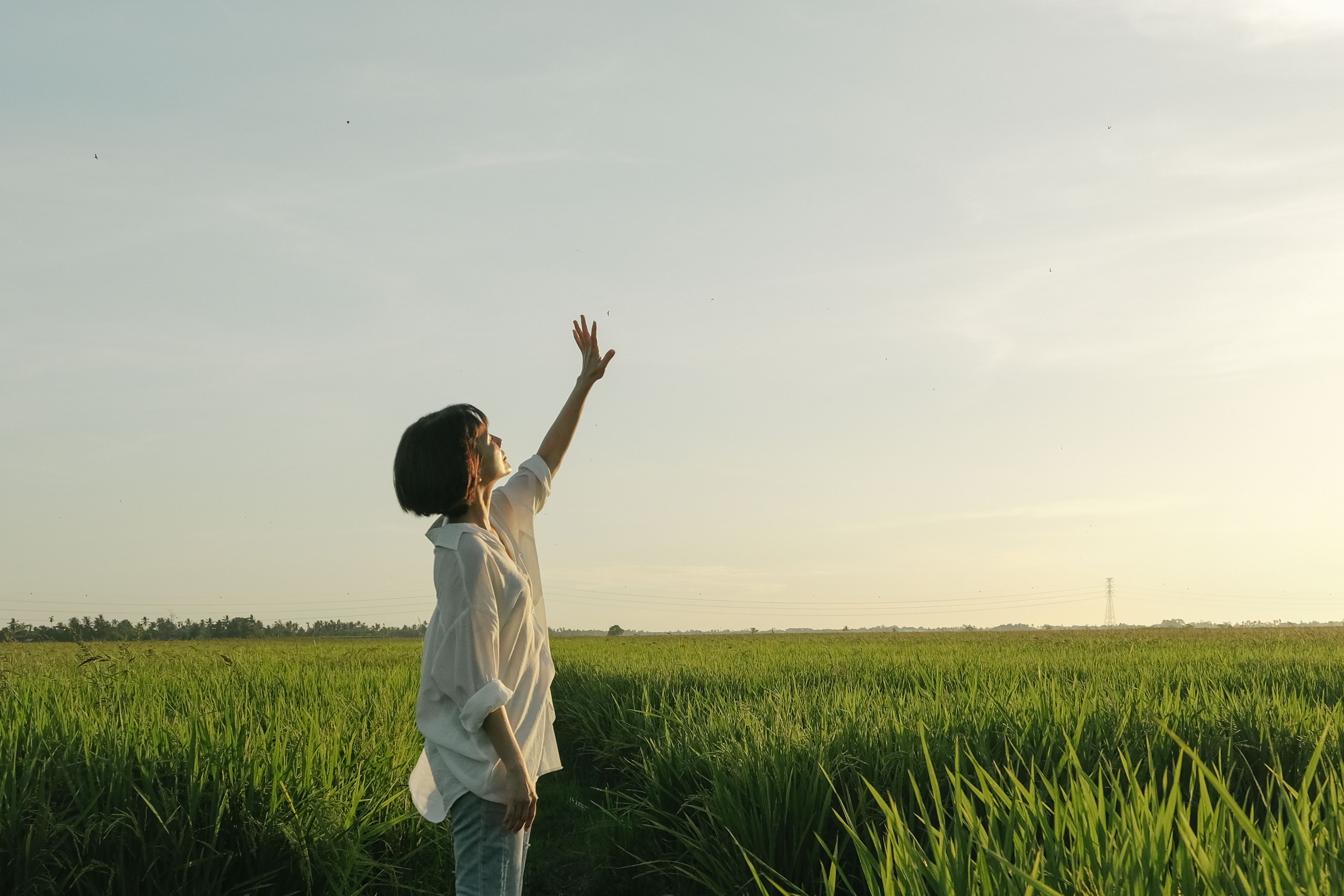 李心潔演而優則導,首度執導以華德福教育為主軸的《山頂小屋》。(甲上)