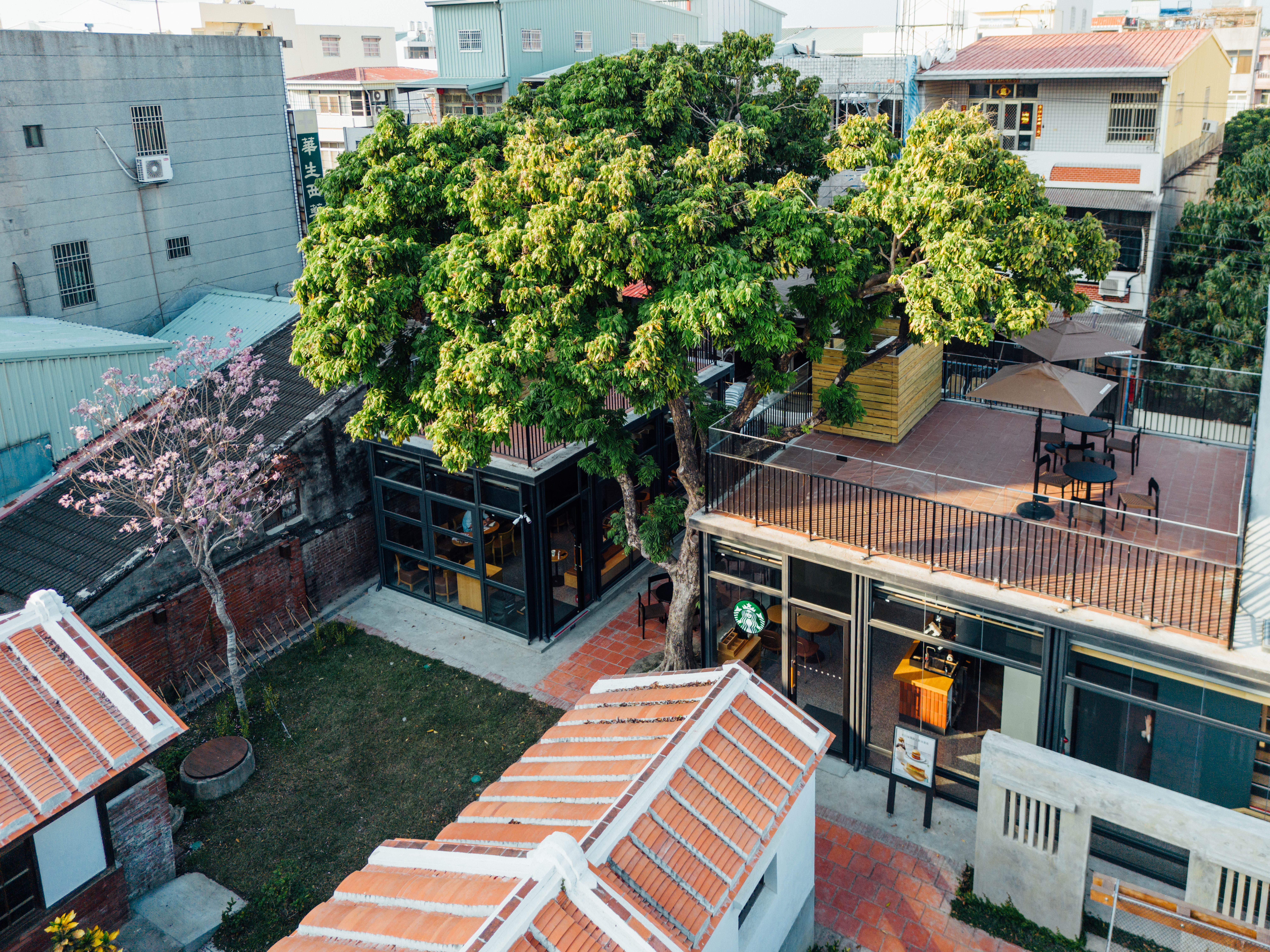 星巴克首間進駐嘉義縣定古蹟門市，嘉義新港門市2月盛大開幕。