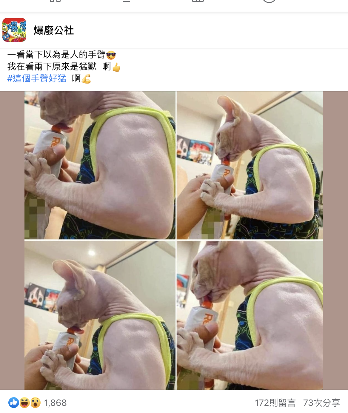斯芬克斯貓露出超壯手臂吃零食。(翻攝自爆廢公社臉書)
